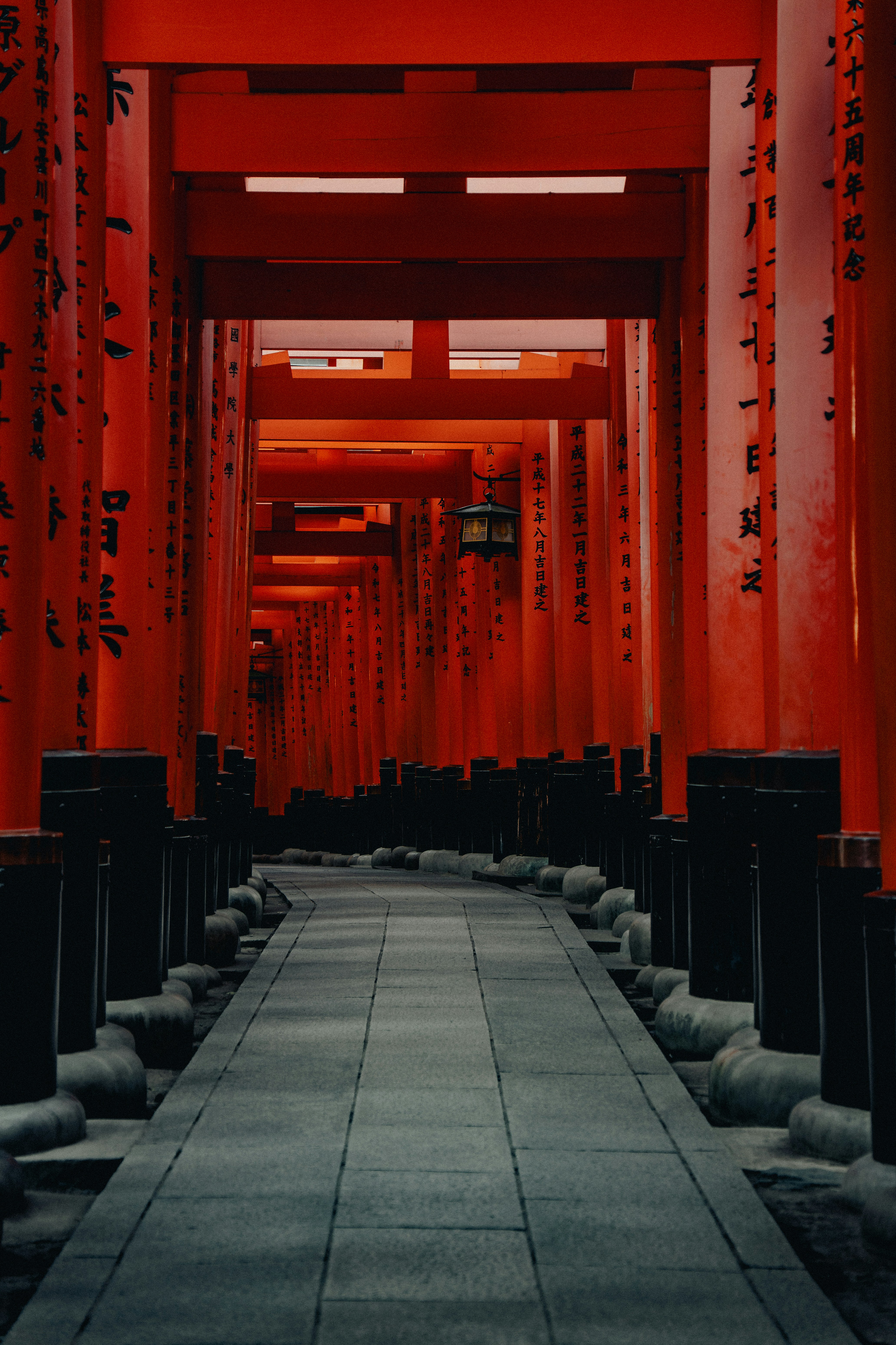 Des torii rouges sans fin dans un sanctuaire japonais