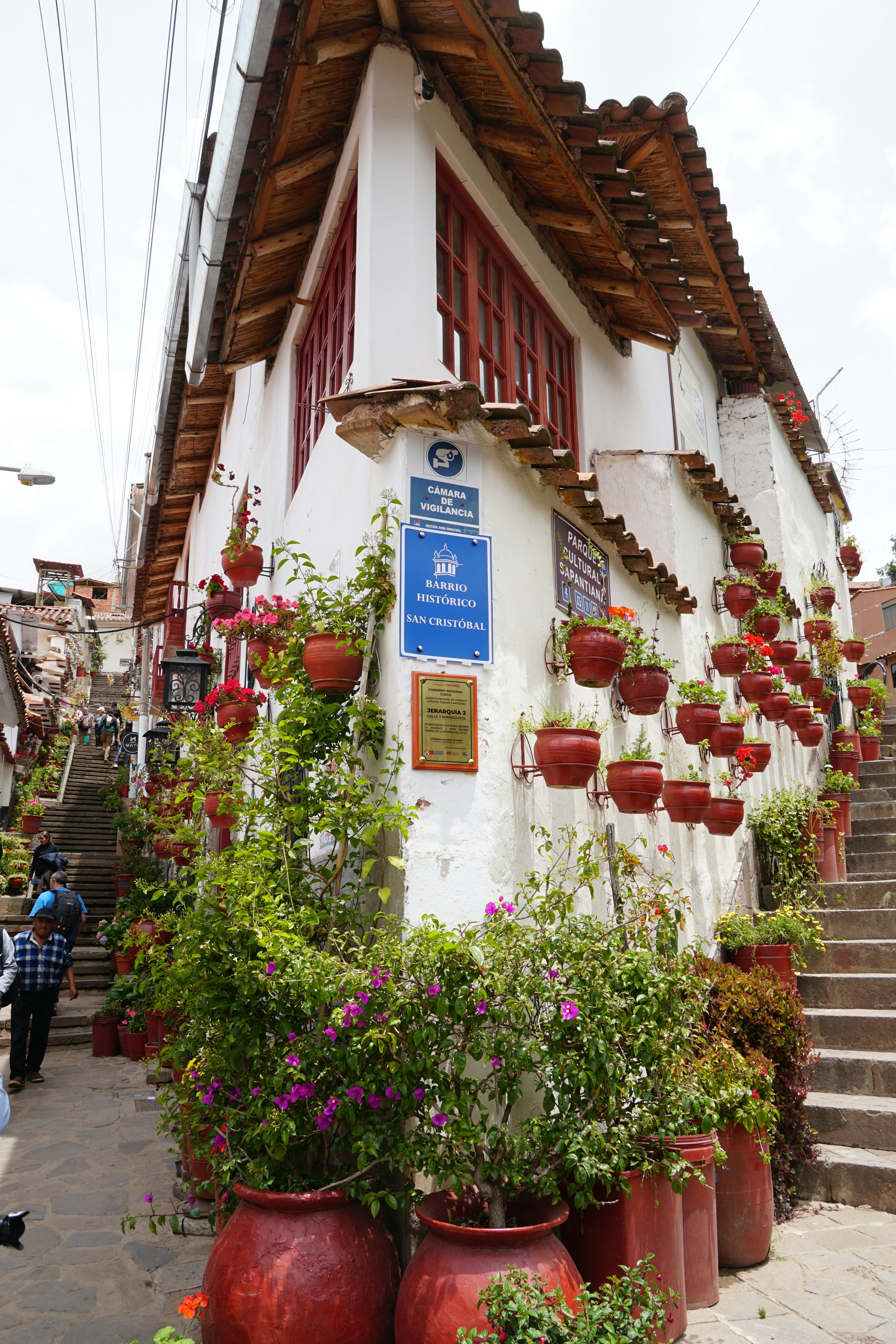 White building corner with red window frames and potted plants.