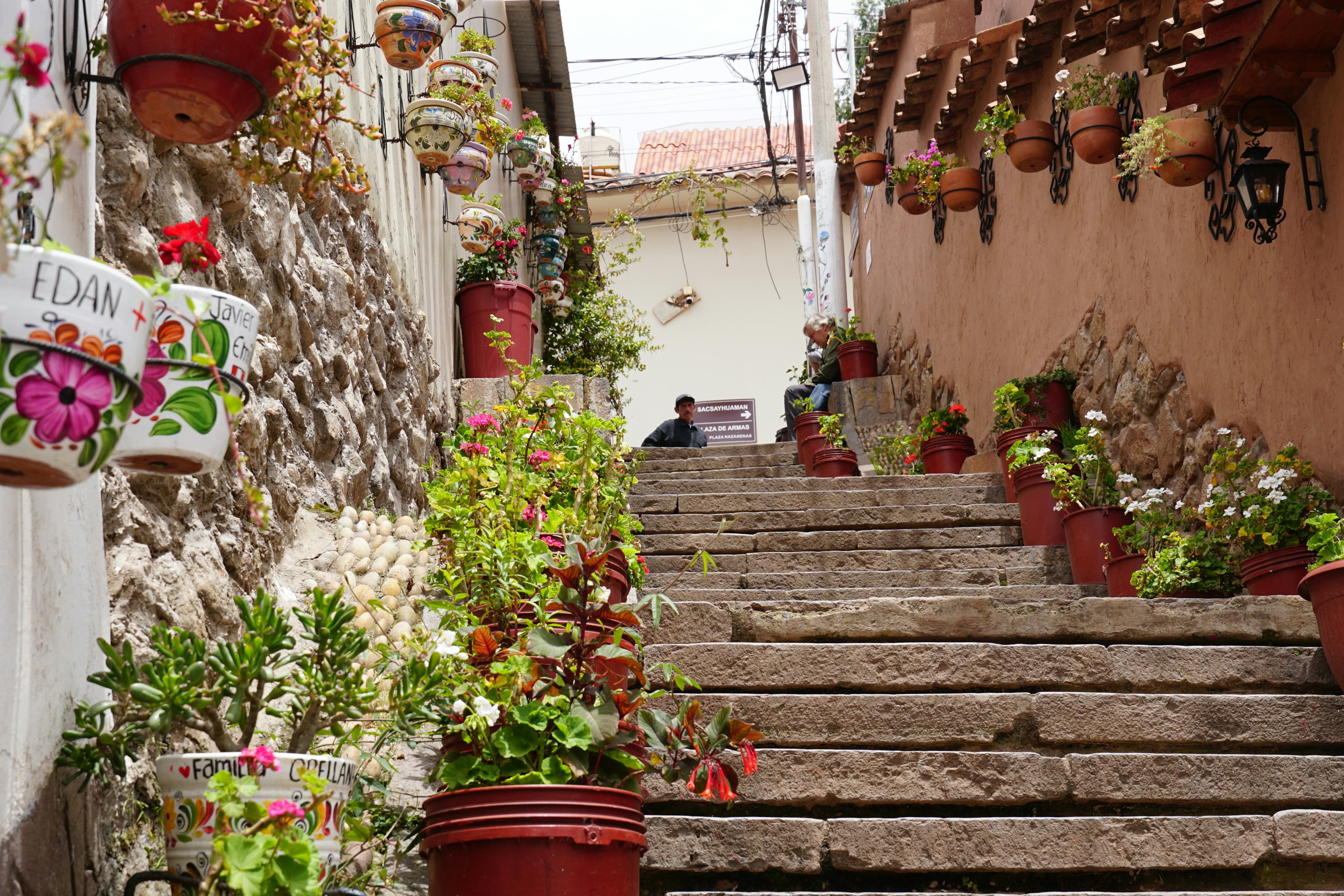 Stone staircase lined with potted plants and flowers.