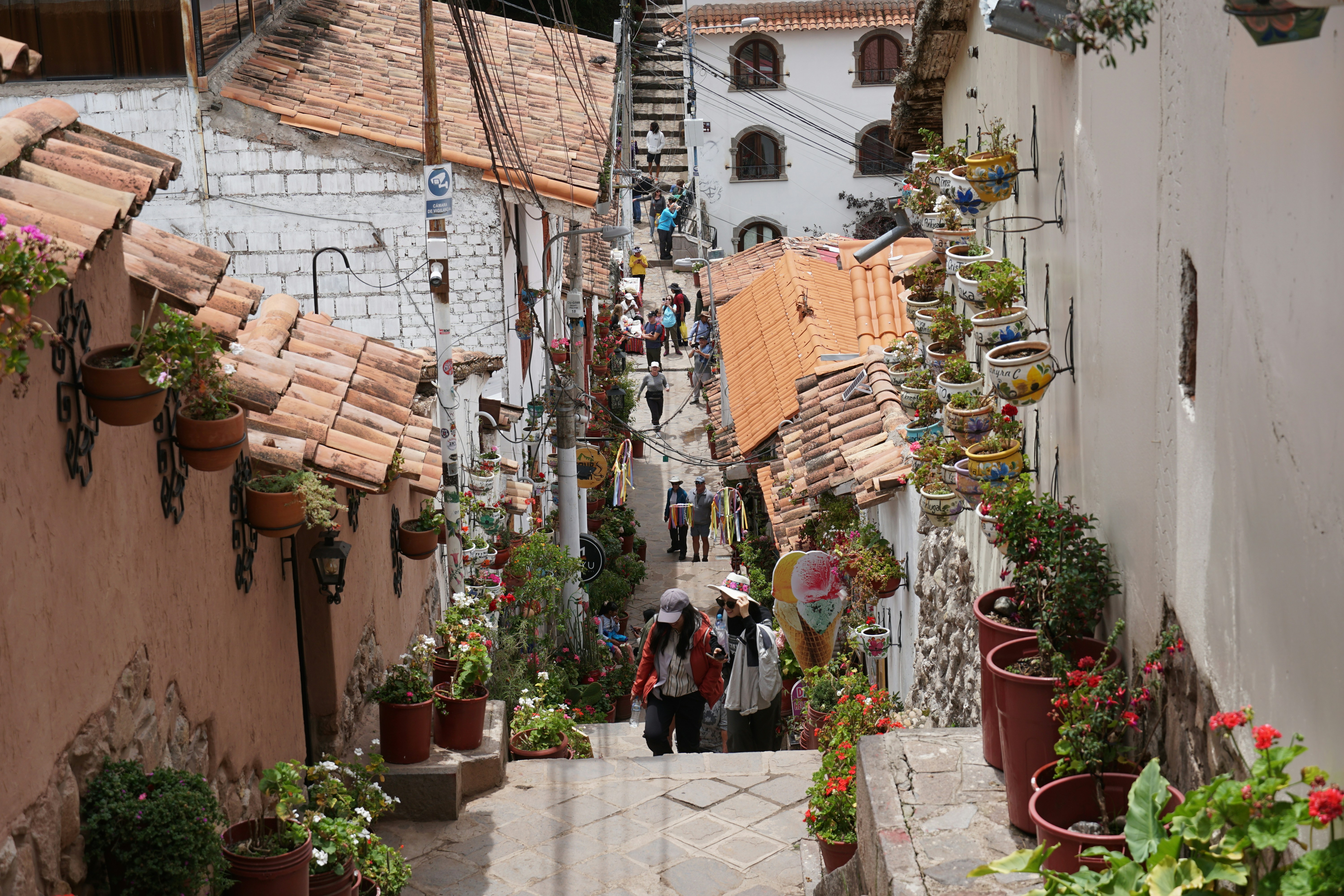 People walking down a narrow, steep street lined with plants.