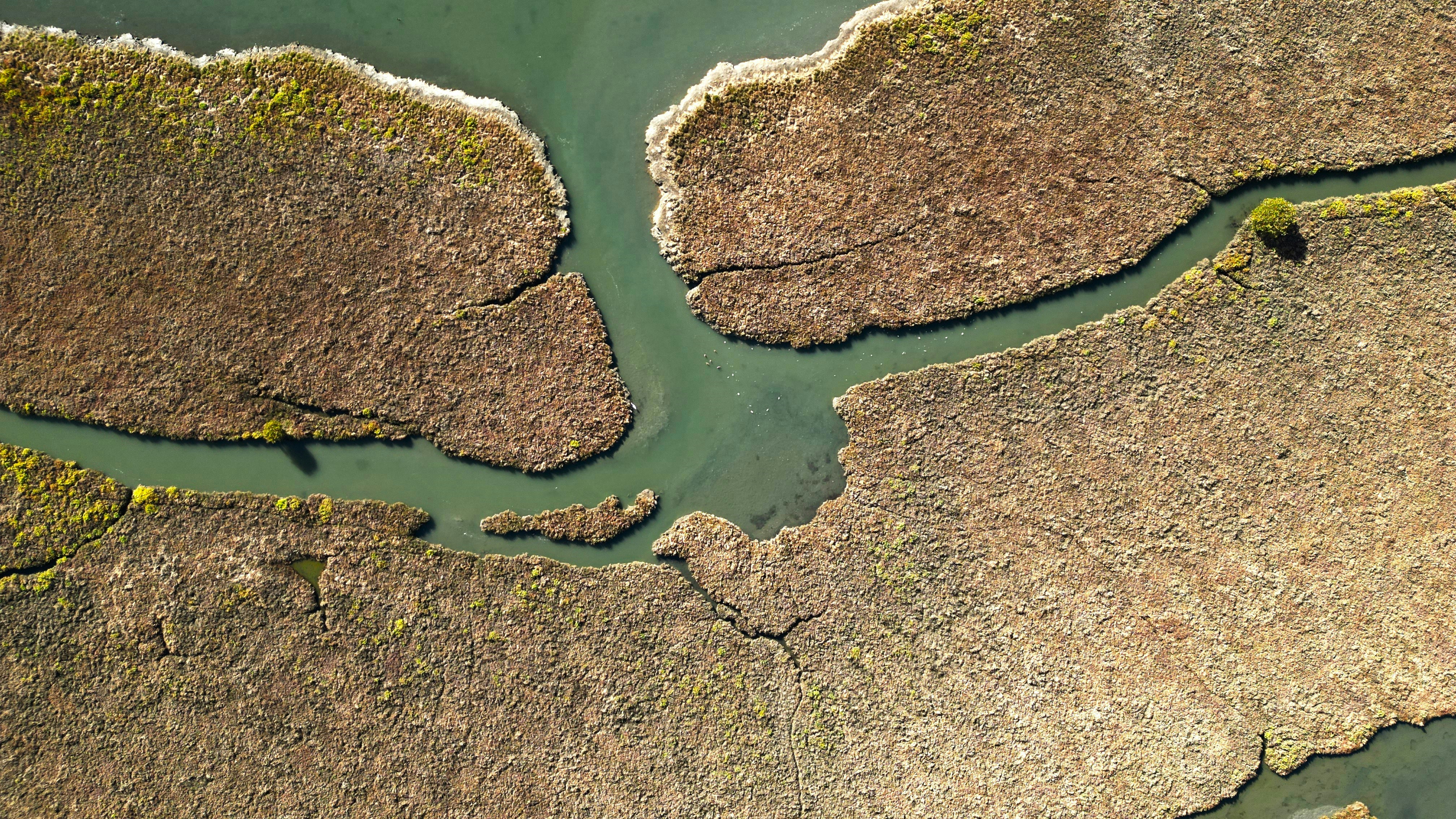 Why Choosing the Right Registered Representative Matters for Your Washington Business