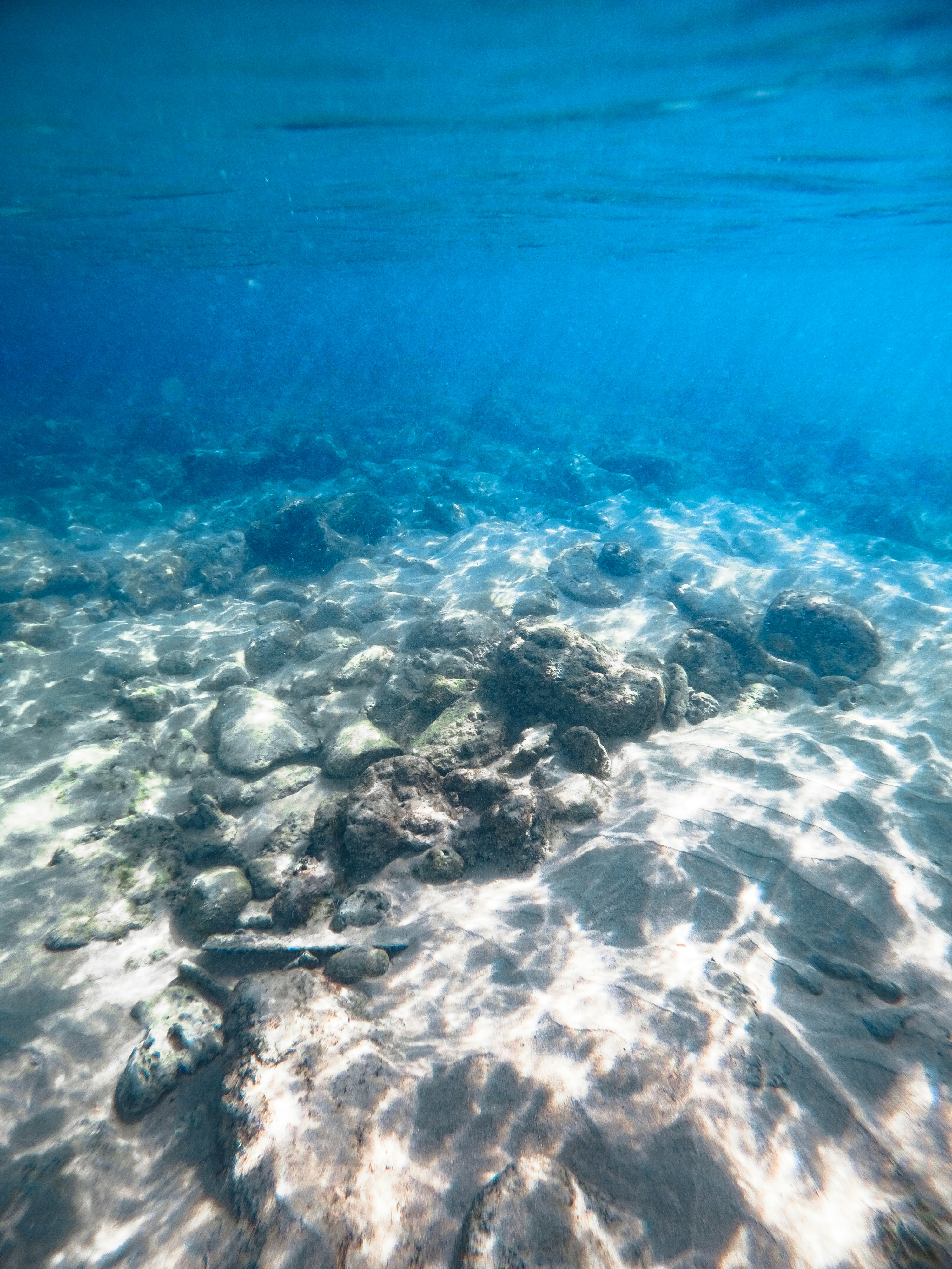 Vista submarina de un lecho marino rocoso con la luz del sol filtrándose.
