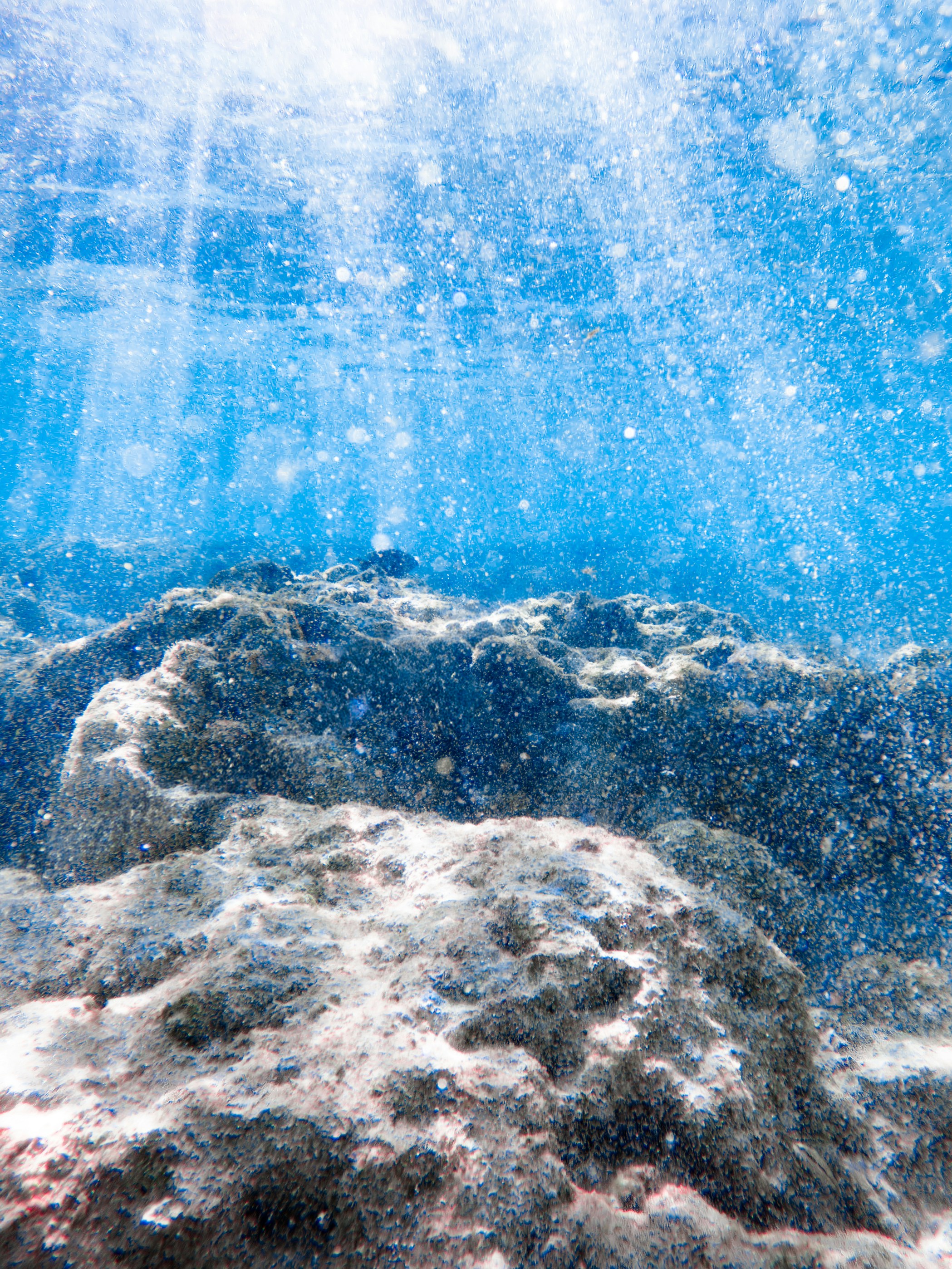 Sunlight streams through the ocean onto rocky seabed.