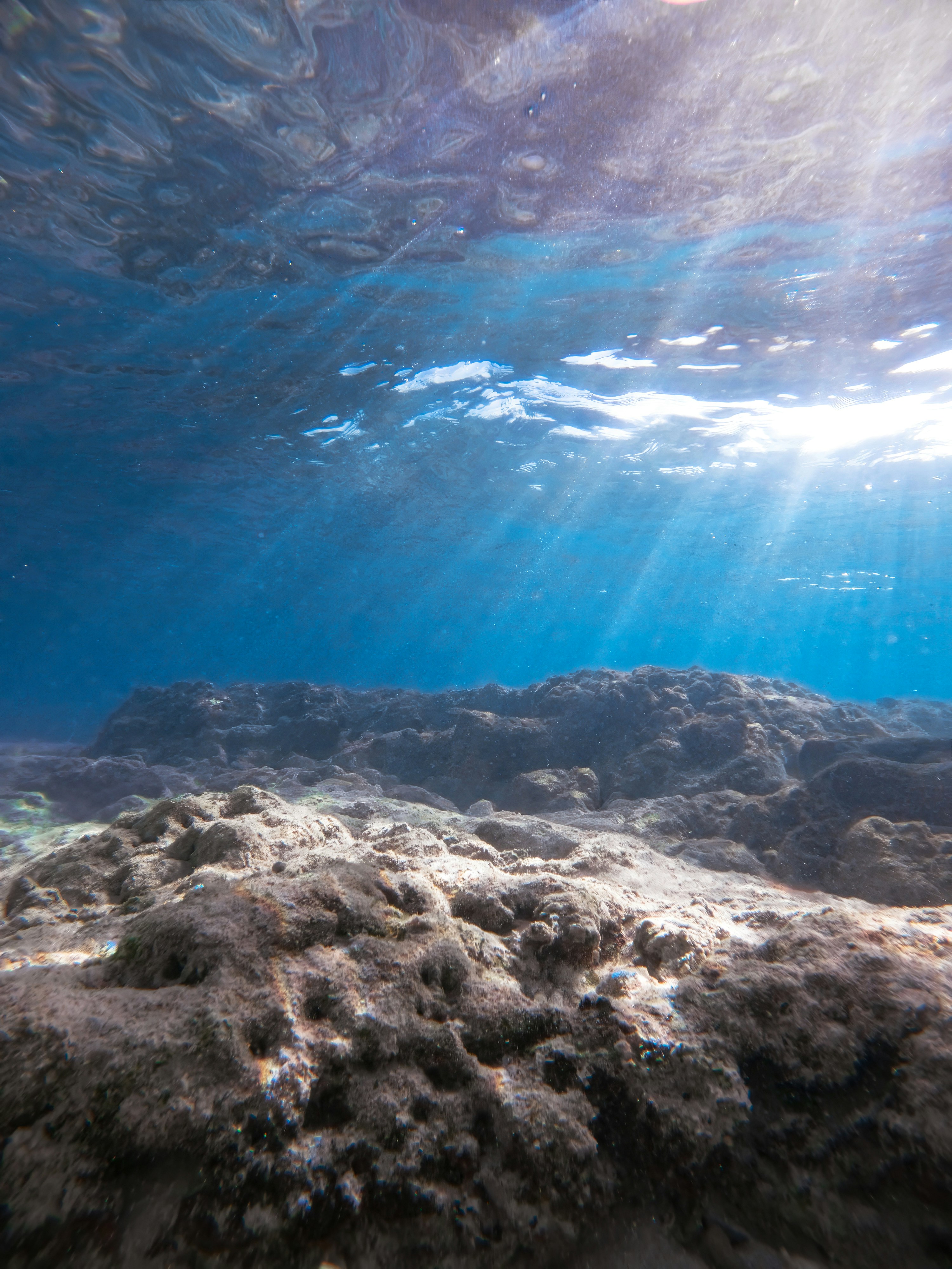 Seabed warfare (E. Lambert)