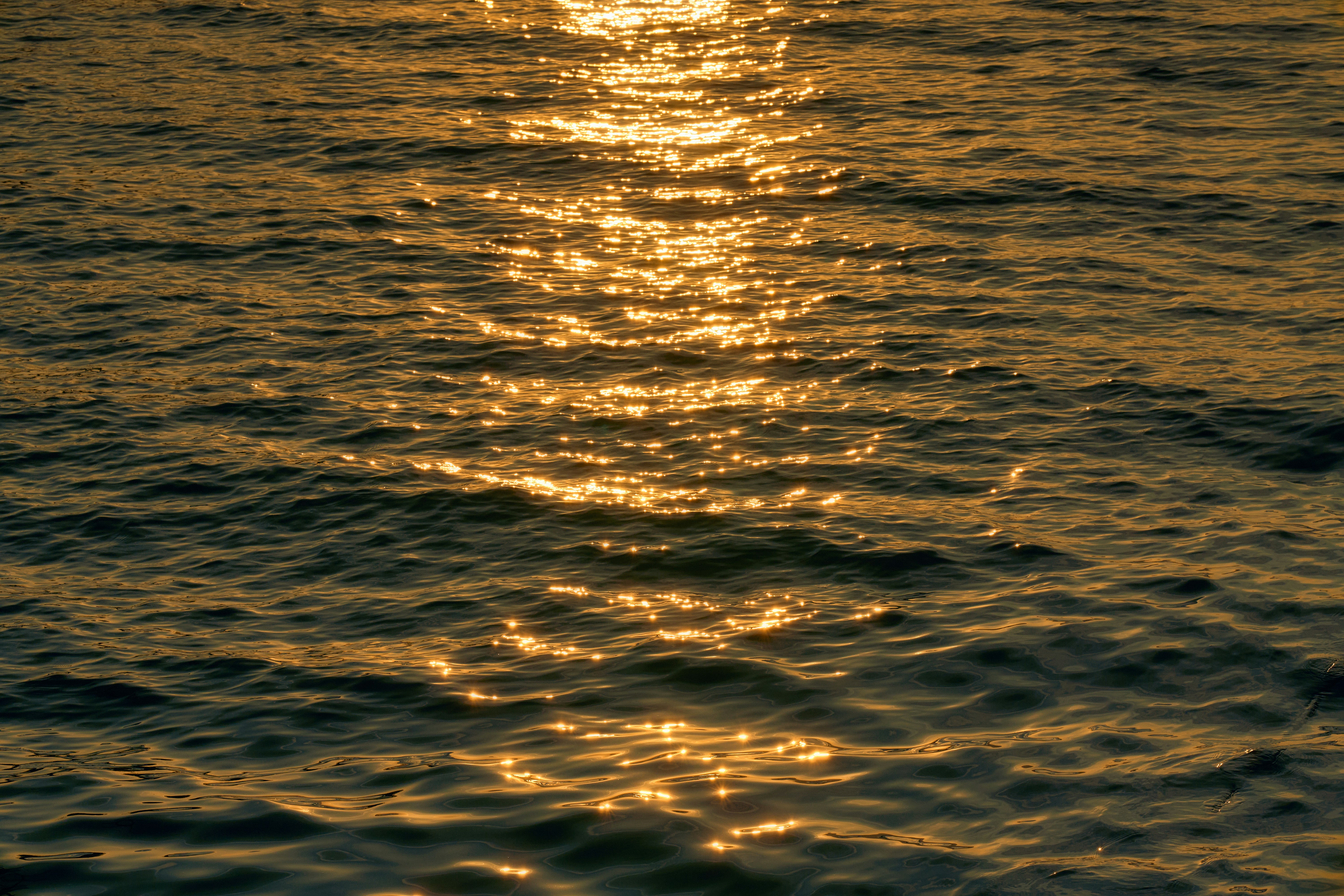 Photo by setsj