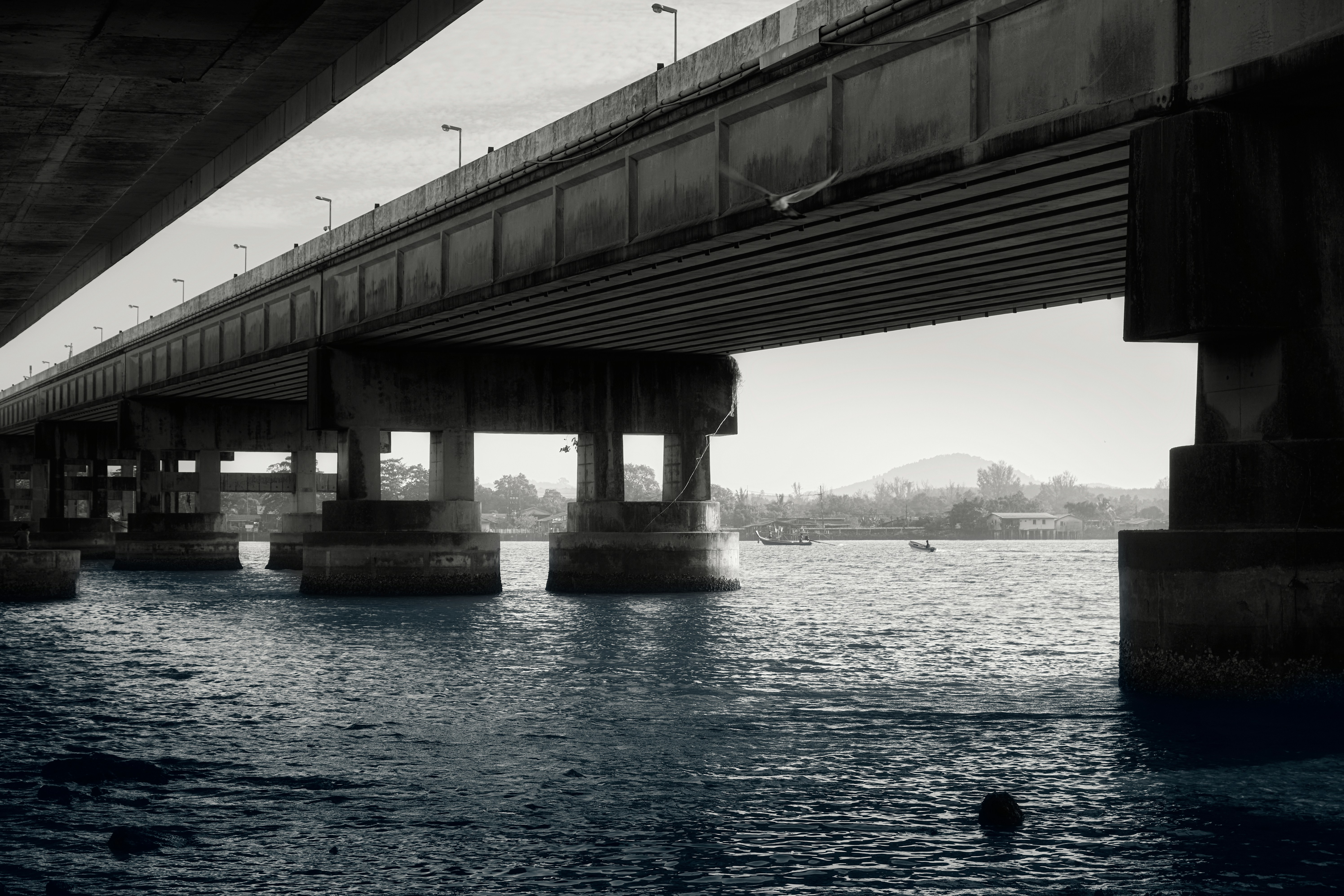 Photo by setsj