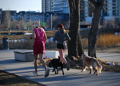 Two women jogging with their dogs on a path