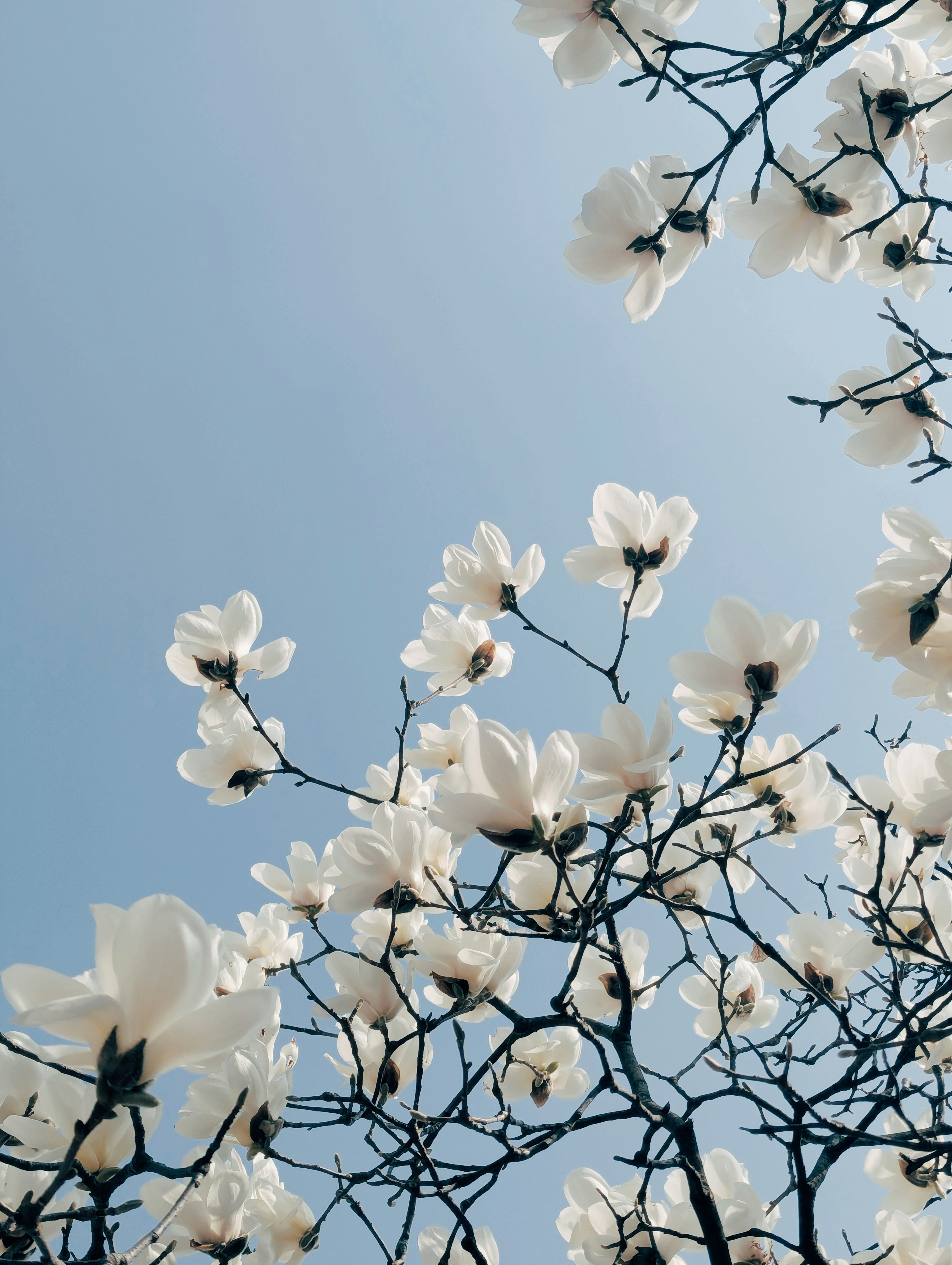 Photo by notethanun