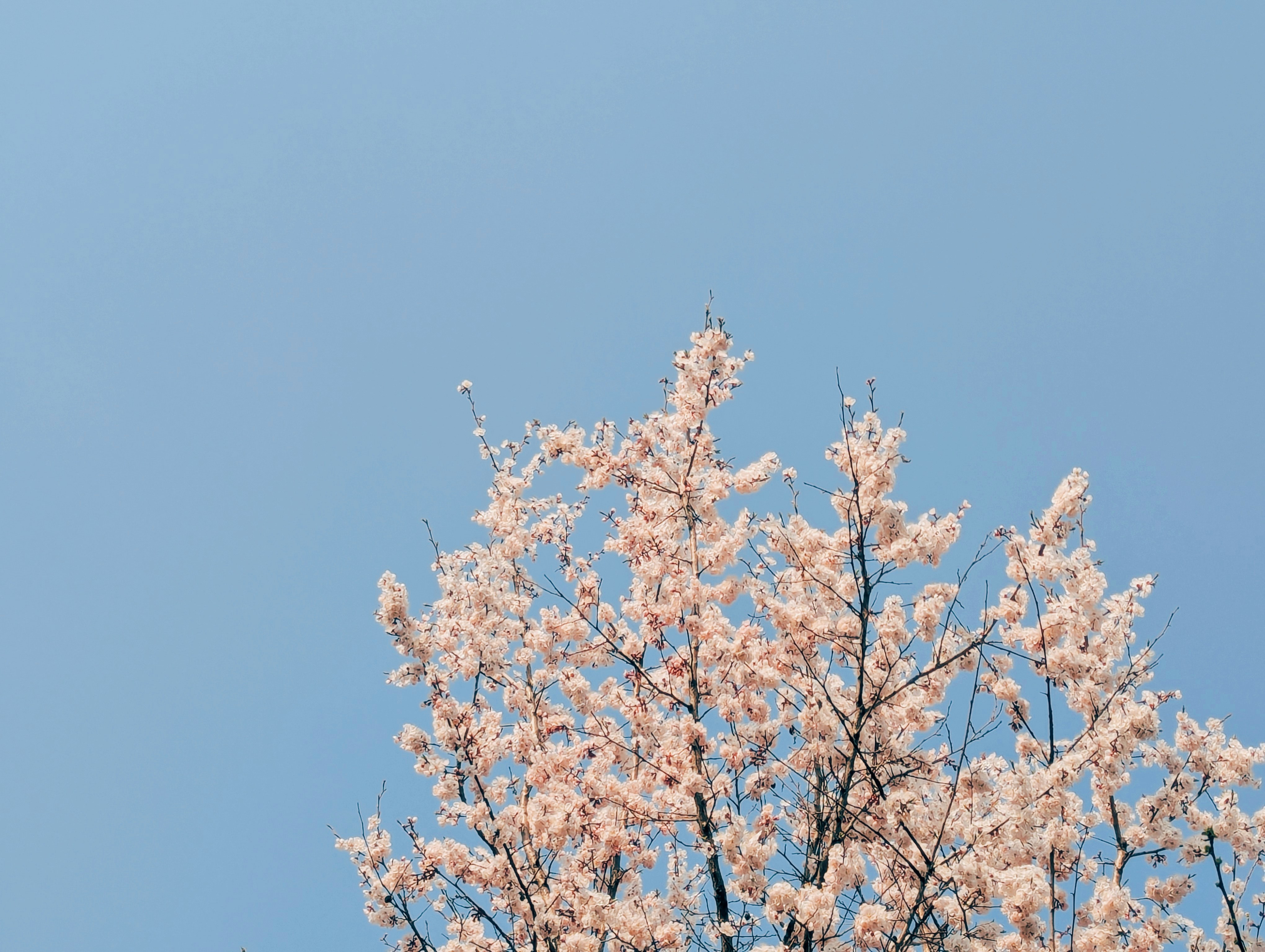 Photo by notethanun