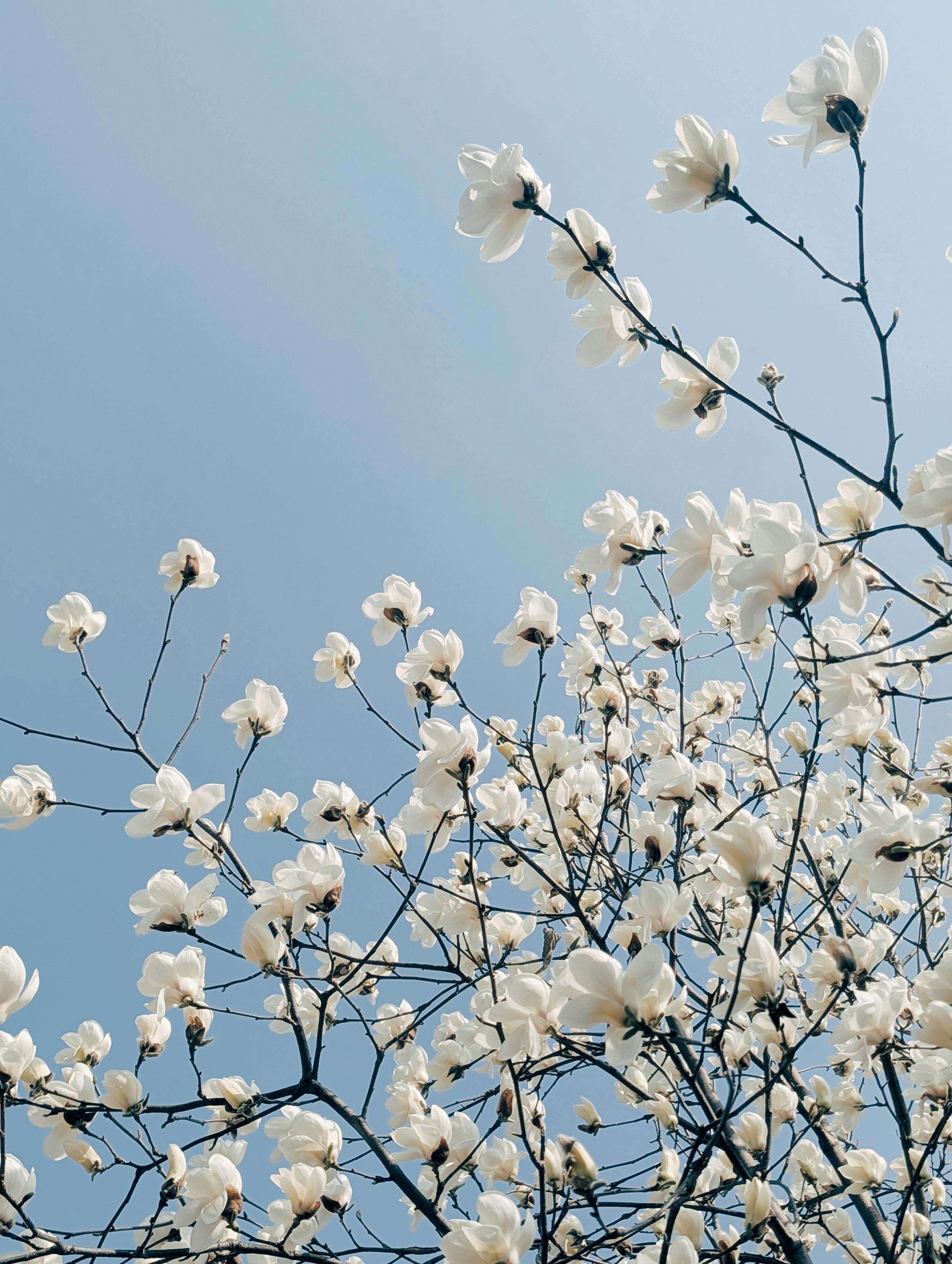 Photo by notethanun