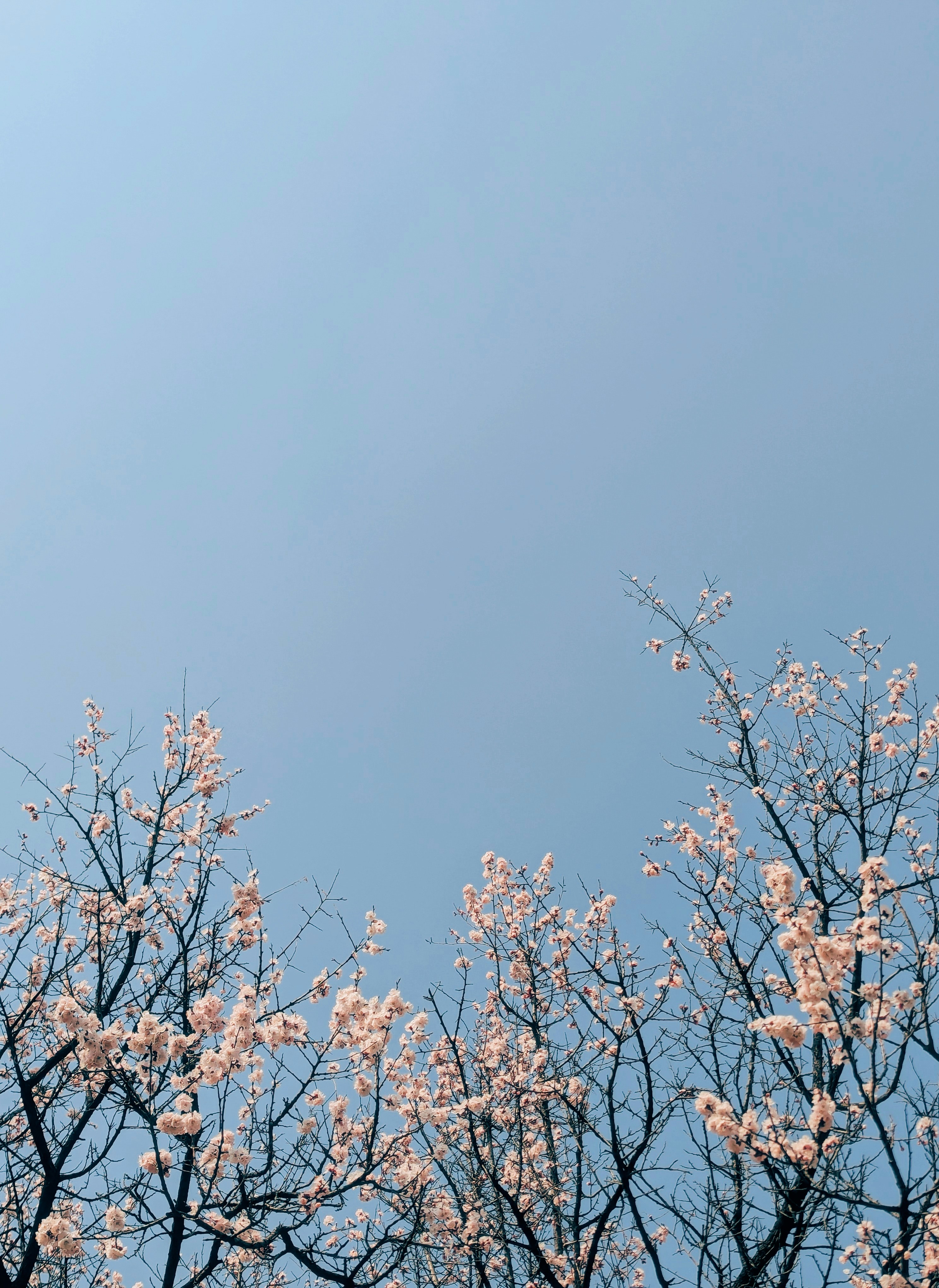 Photo by notethanun