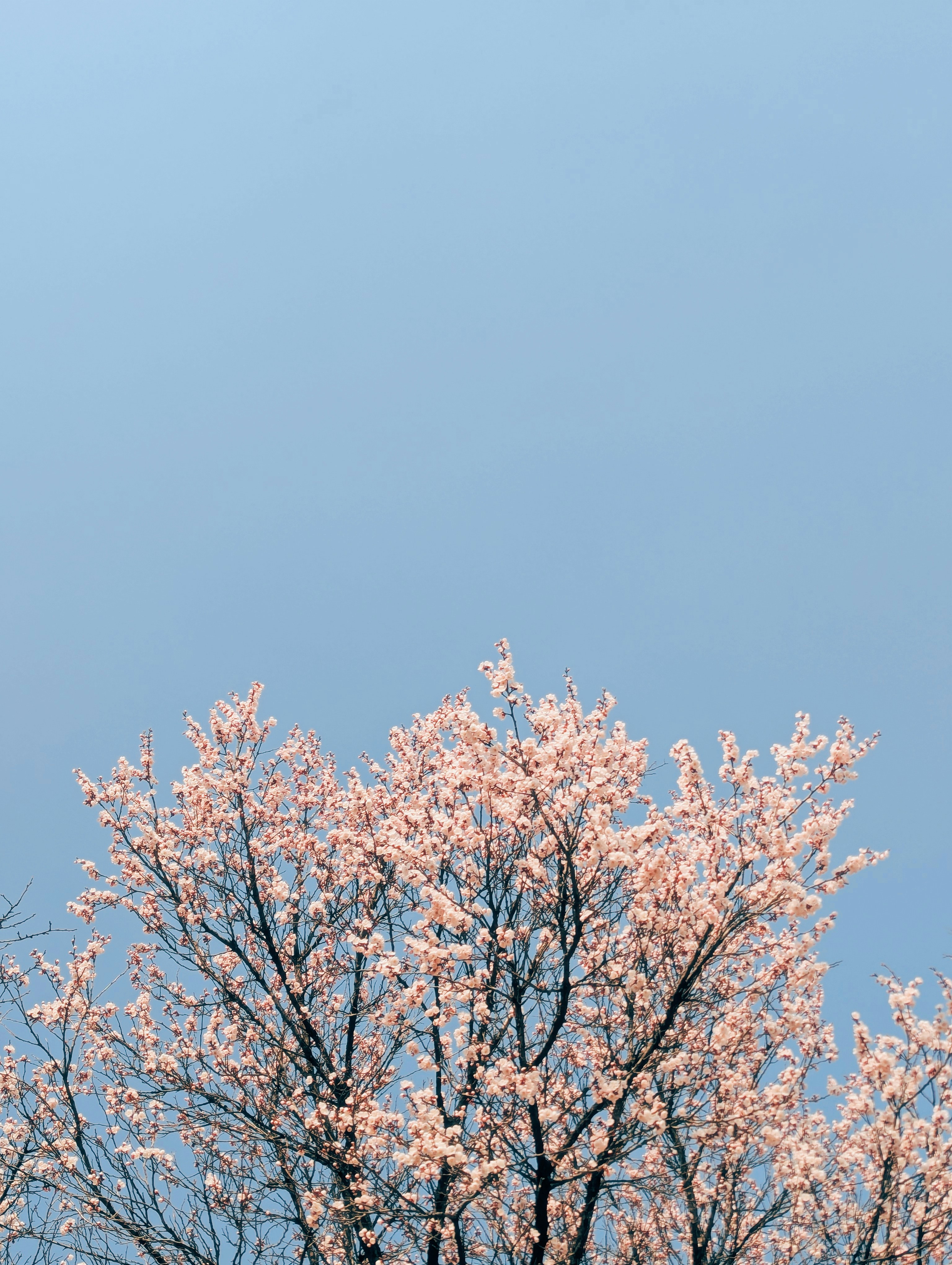 Photo by notethanun