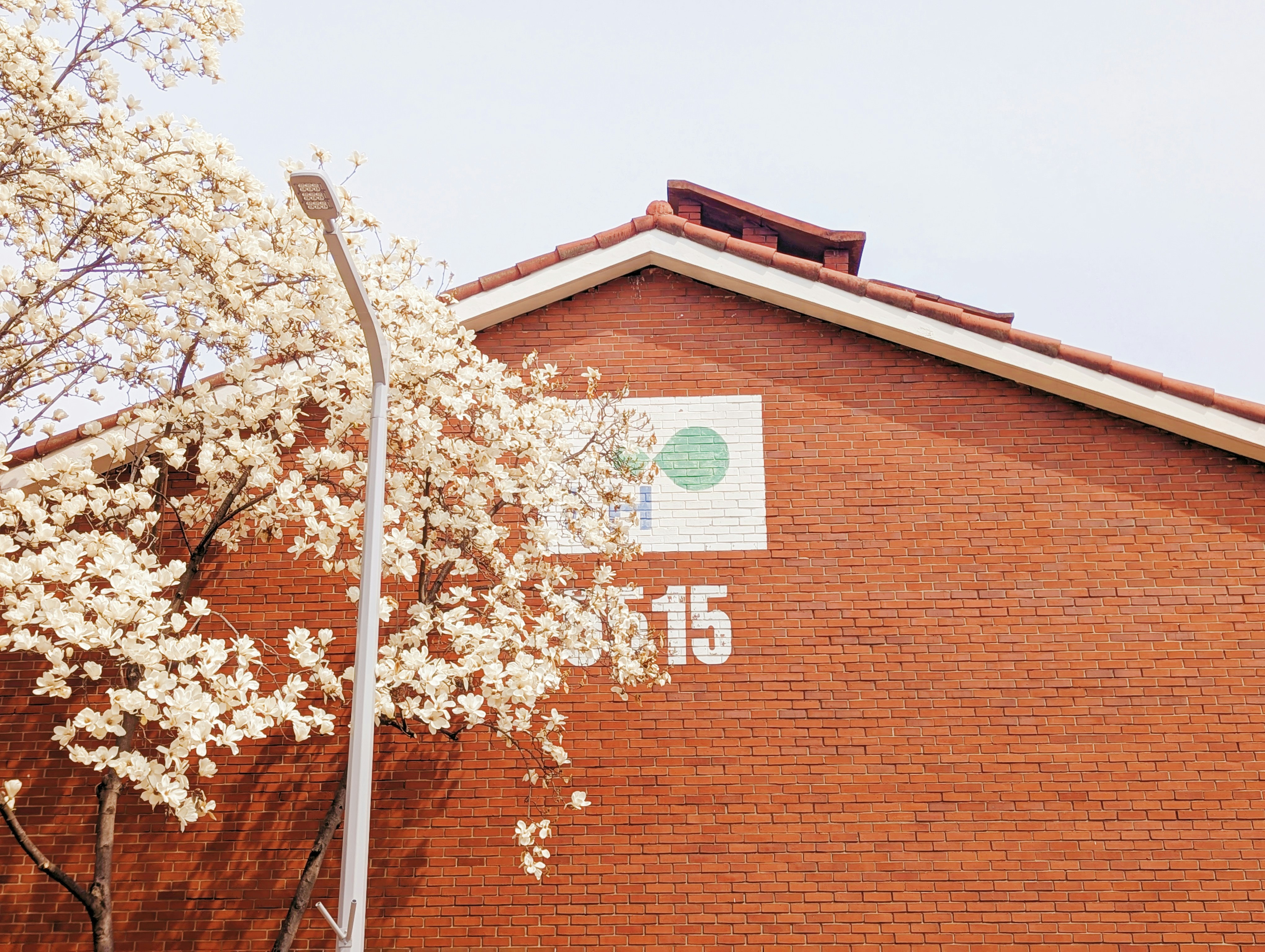 Building with blooming tree and street lamp.