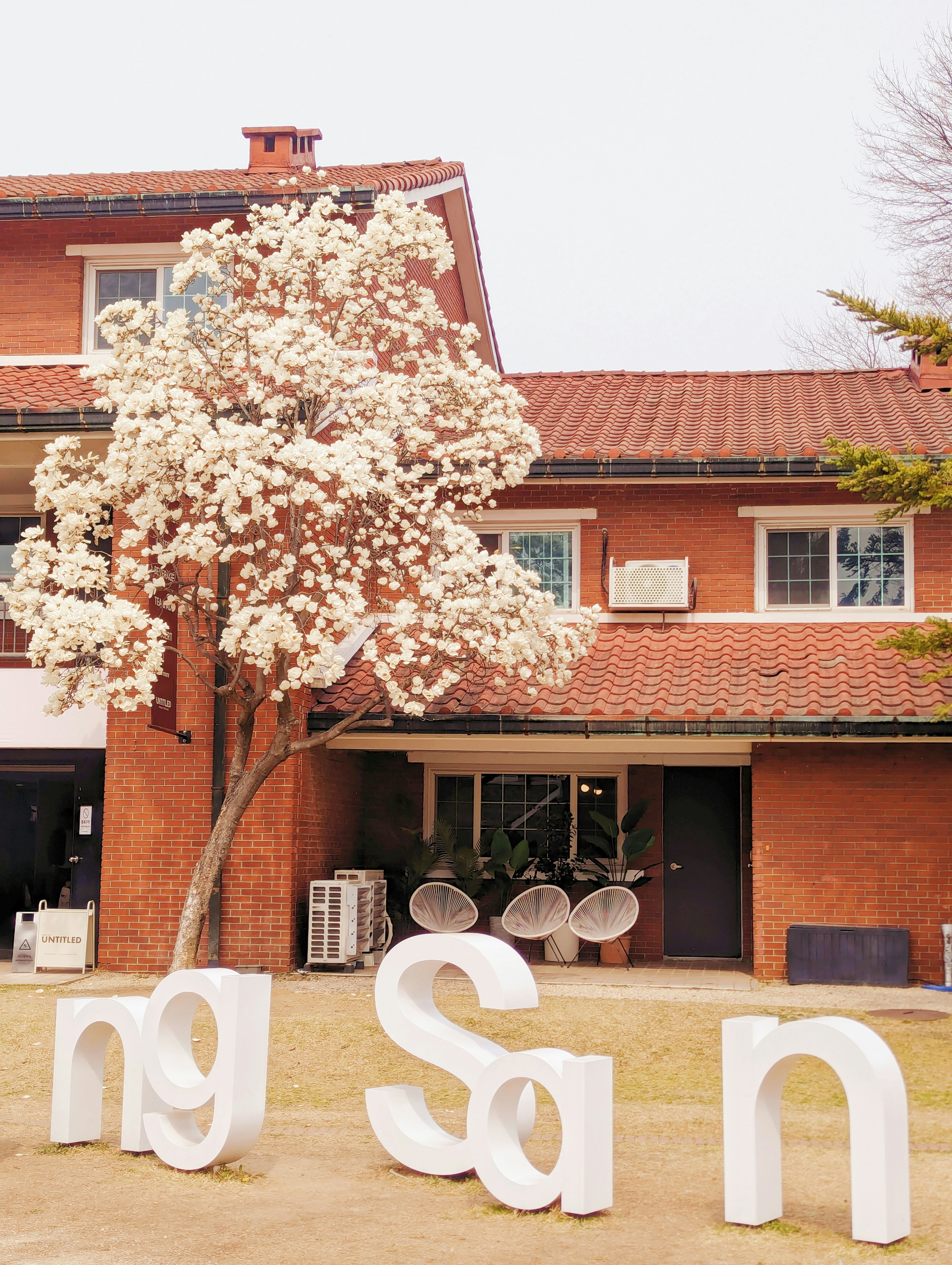 White letters spell "ng san" in front of brick building.