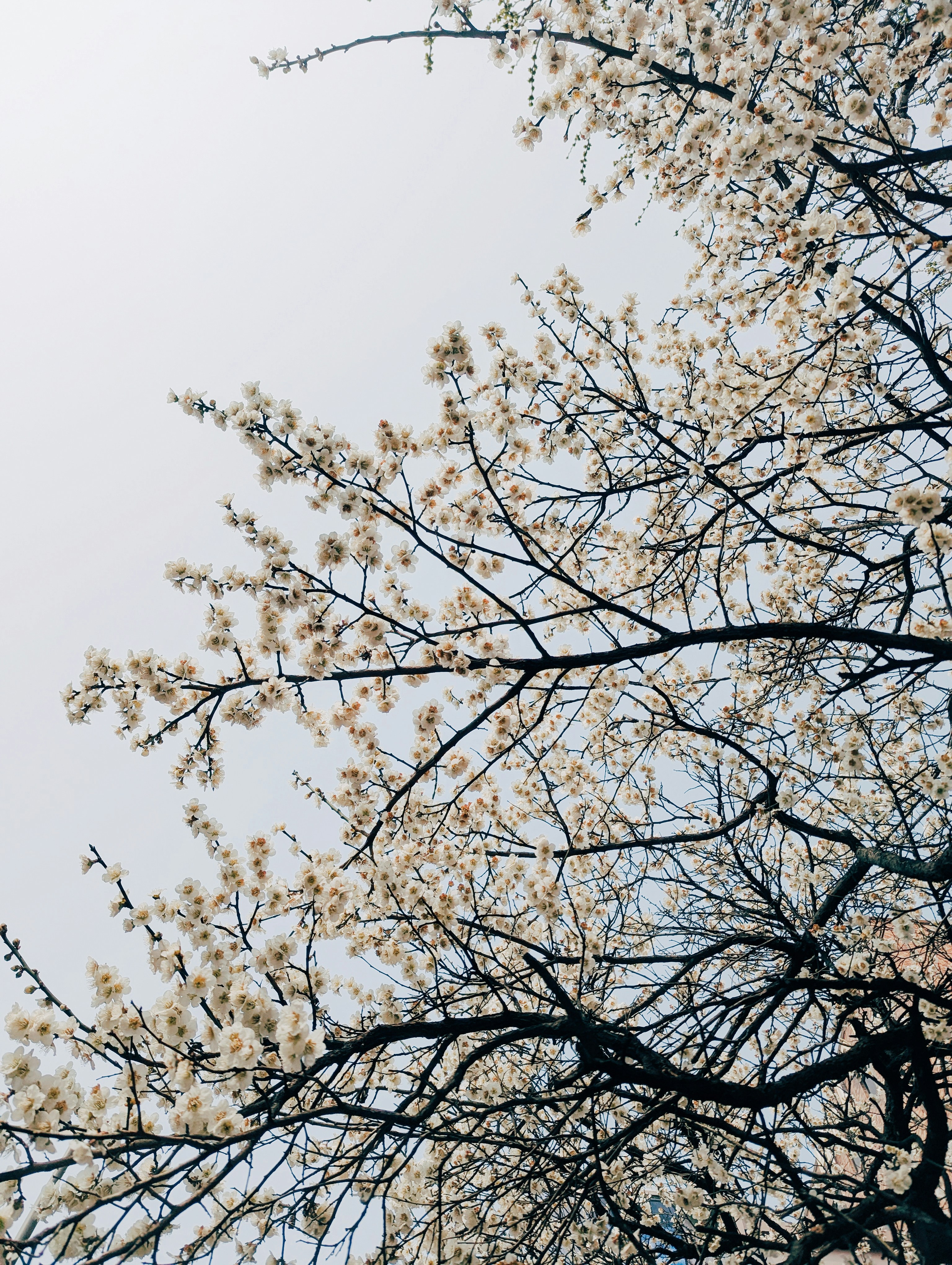 Photo by notethanun