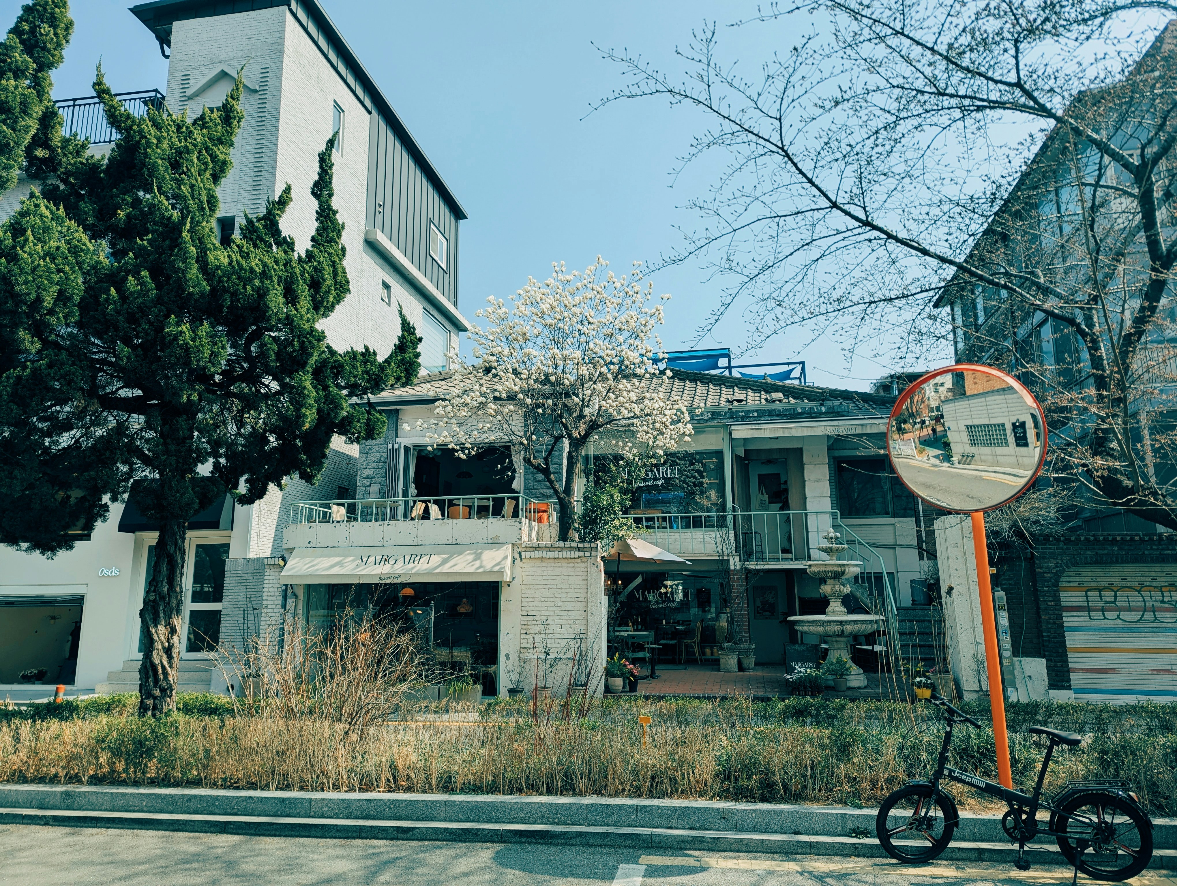 A street scene with buildings, a tree, and a bicycle.