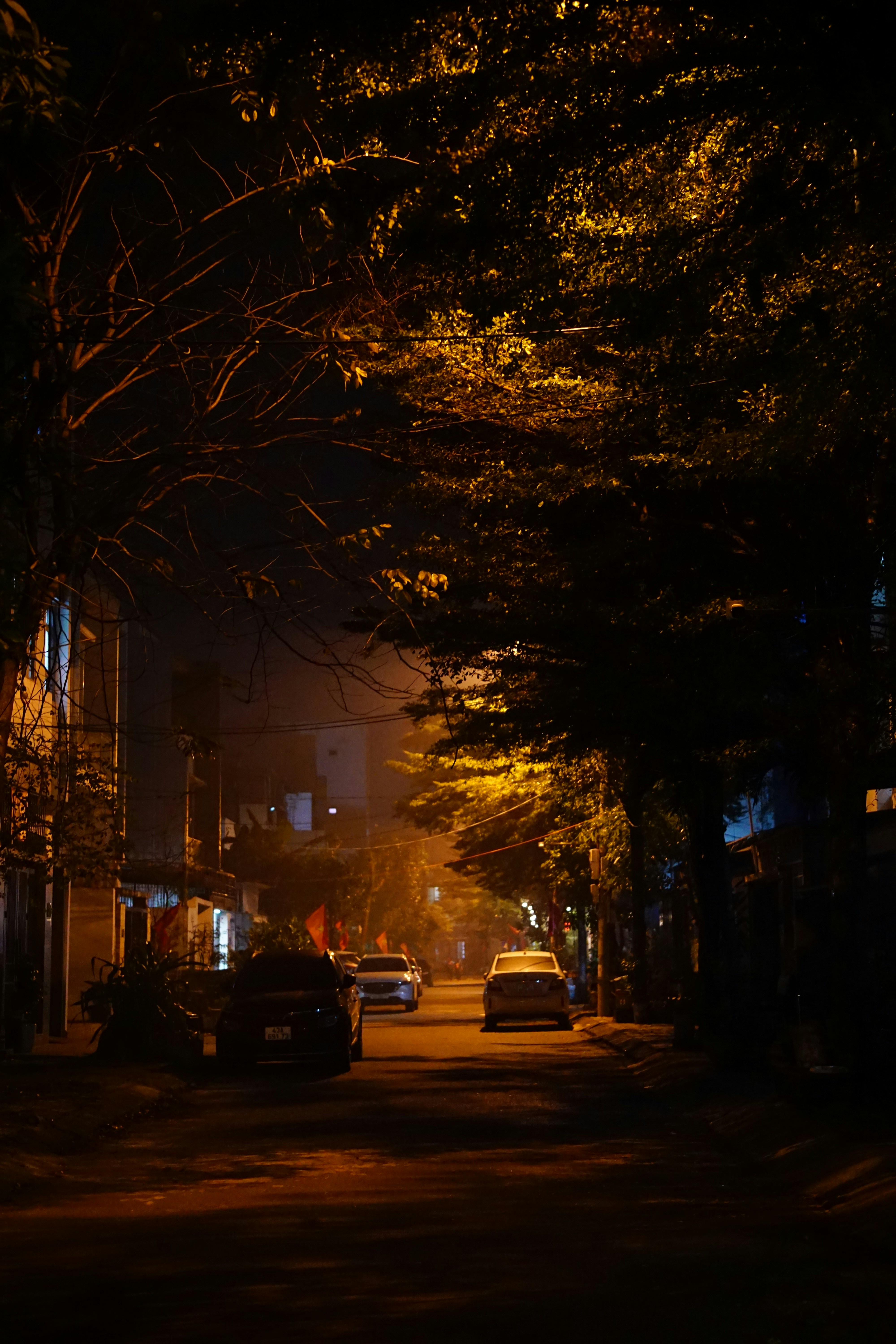 Photo by carolinentmt