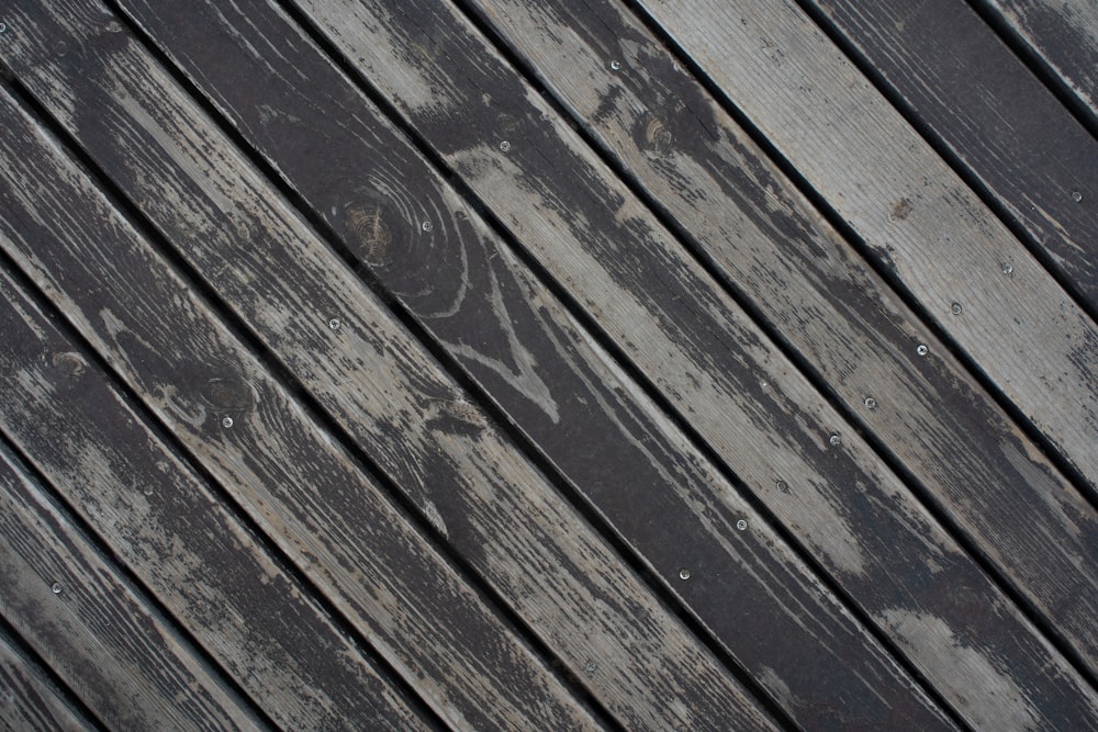 Freshly stained and sealed wood deck