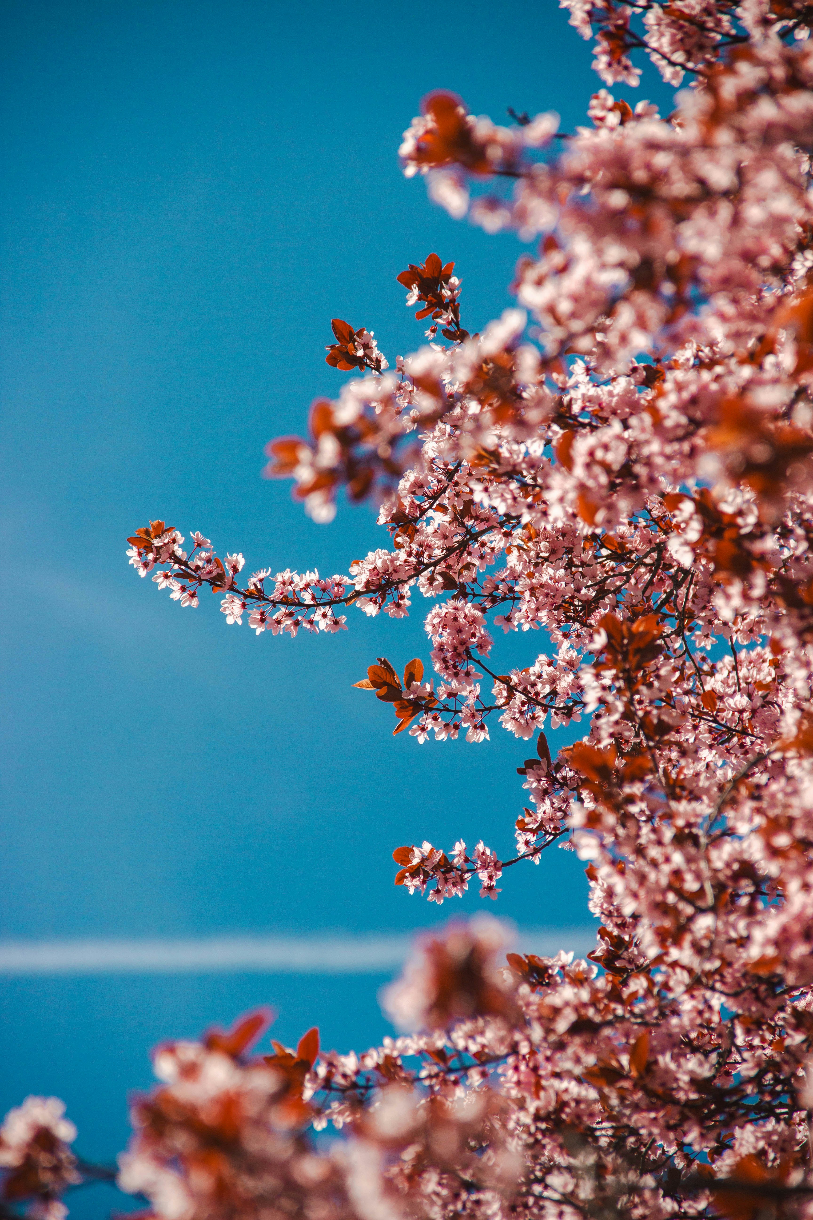 Photo by daniyarorazov