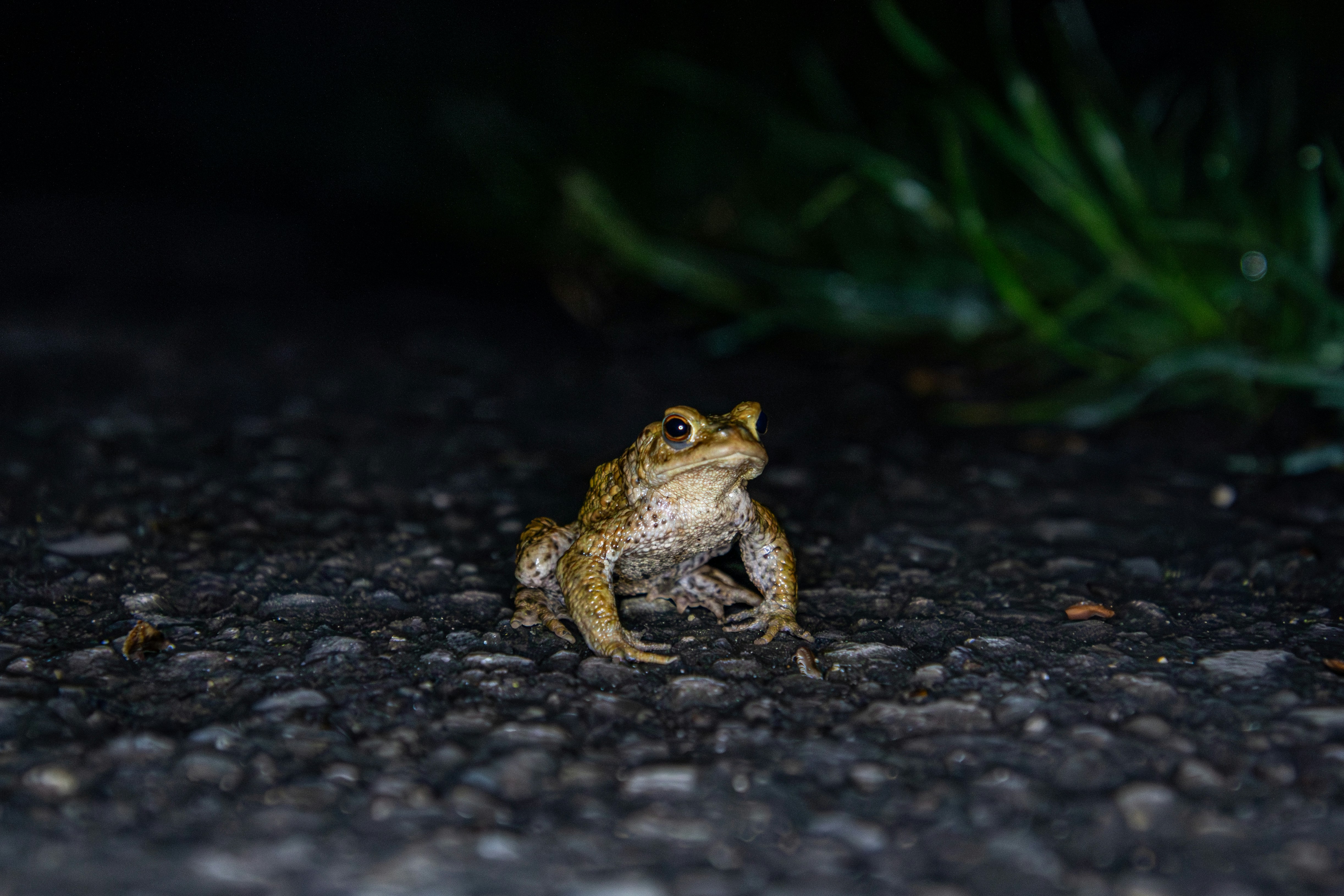 Photo by photosimon