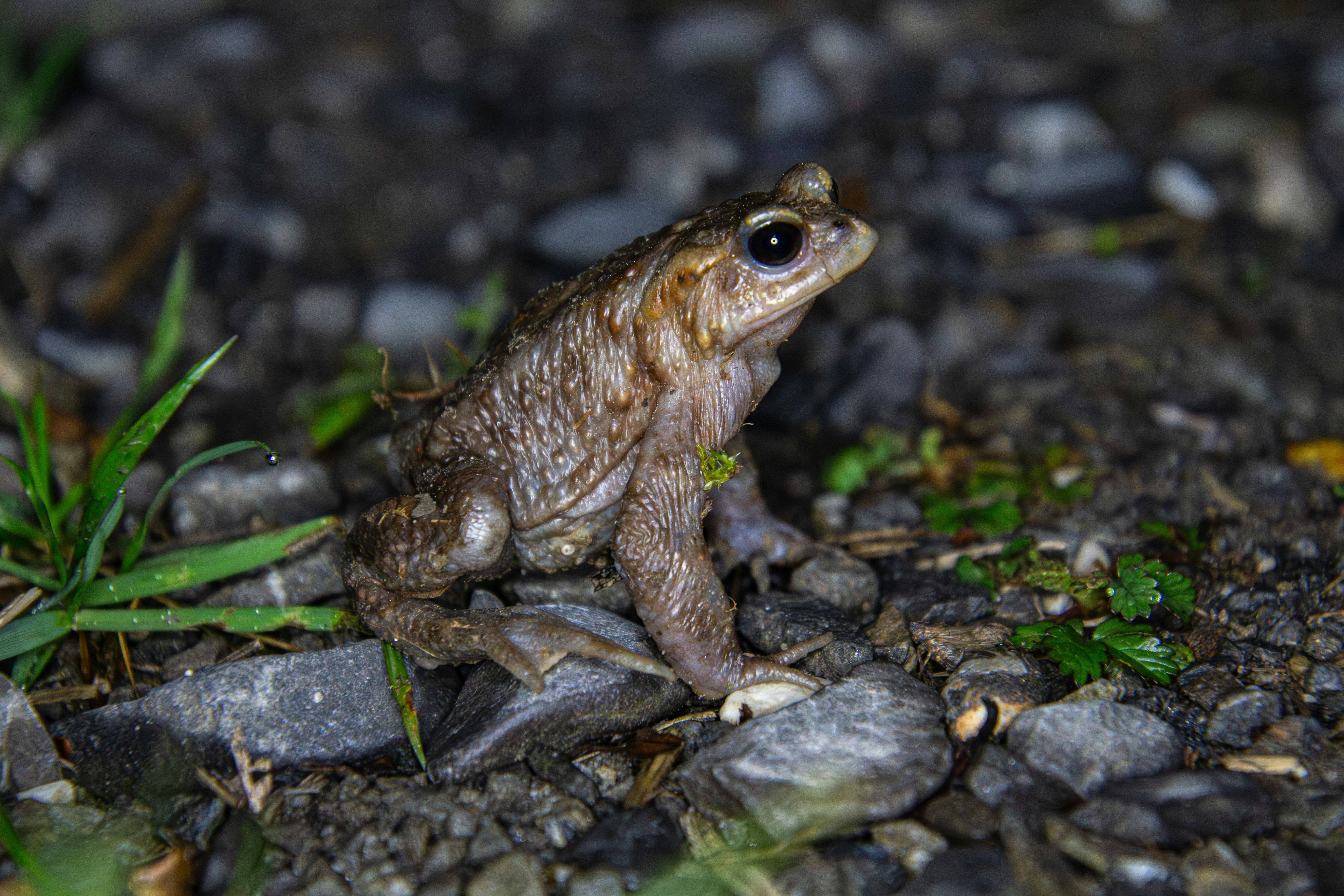 Photo by photosimon