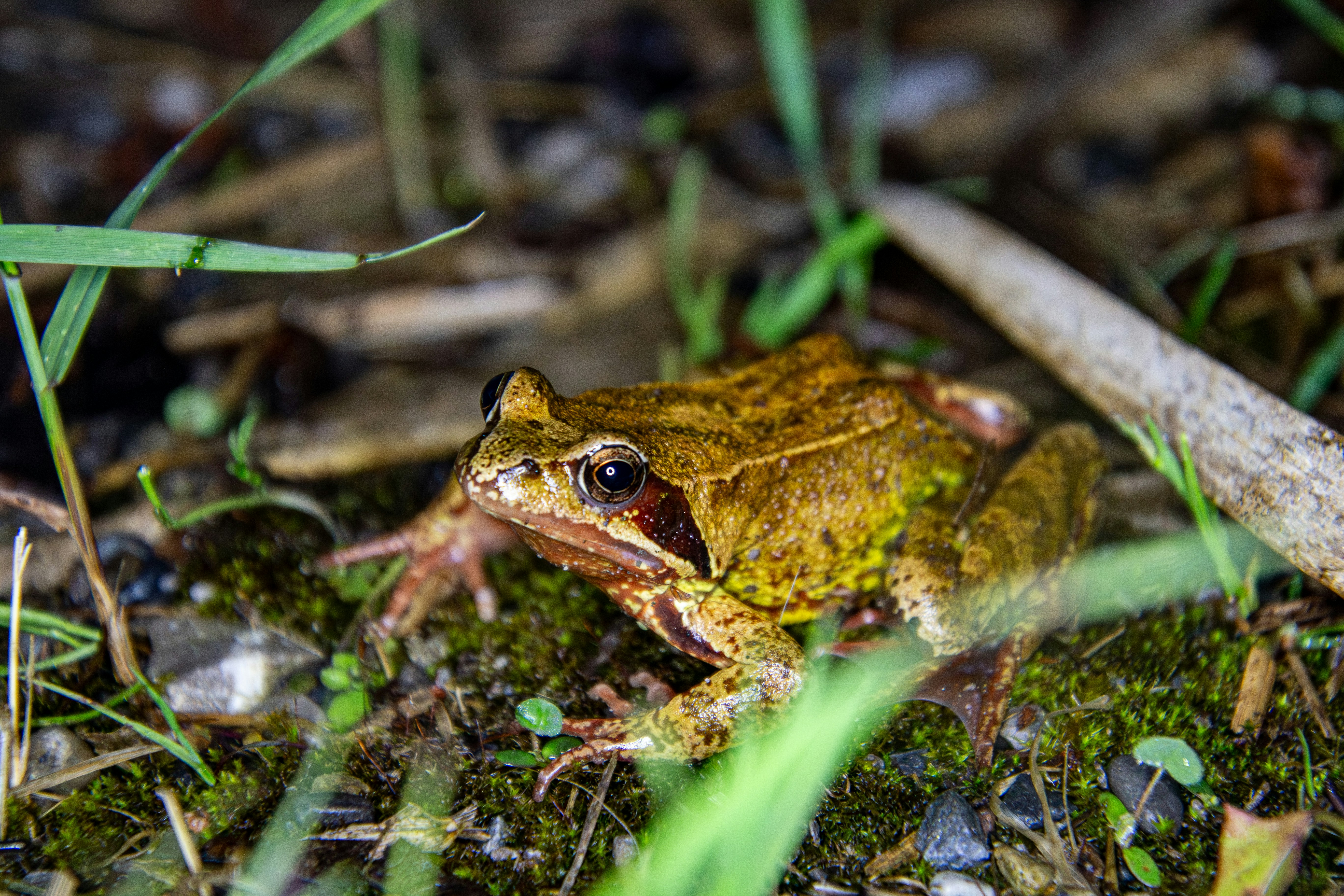 Photo by photosimon