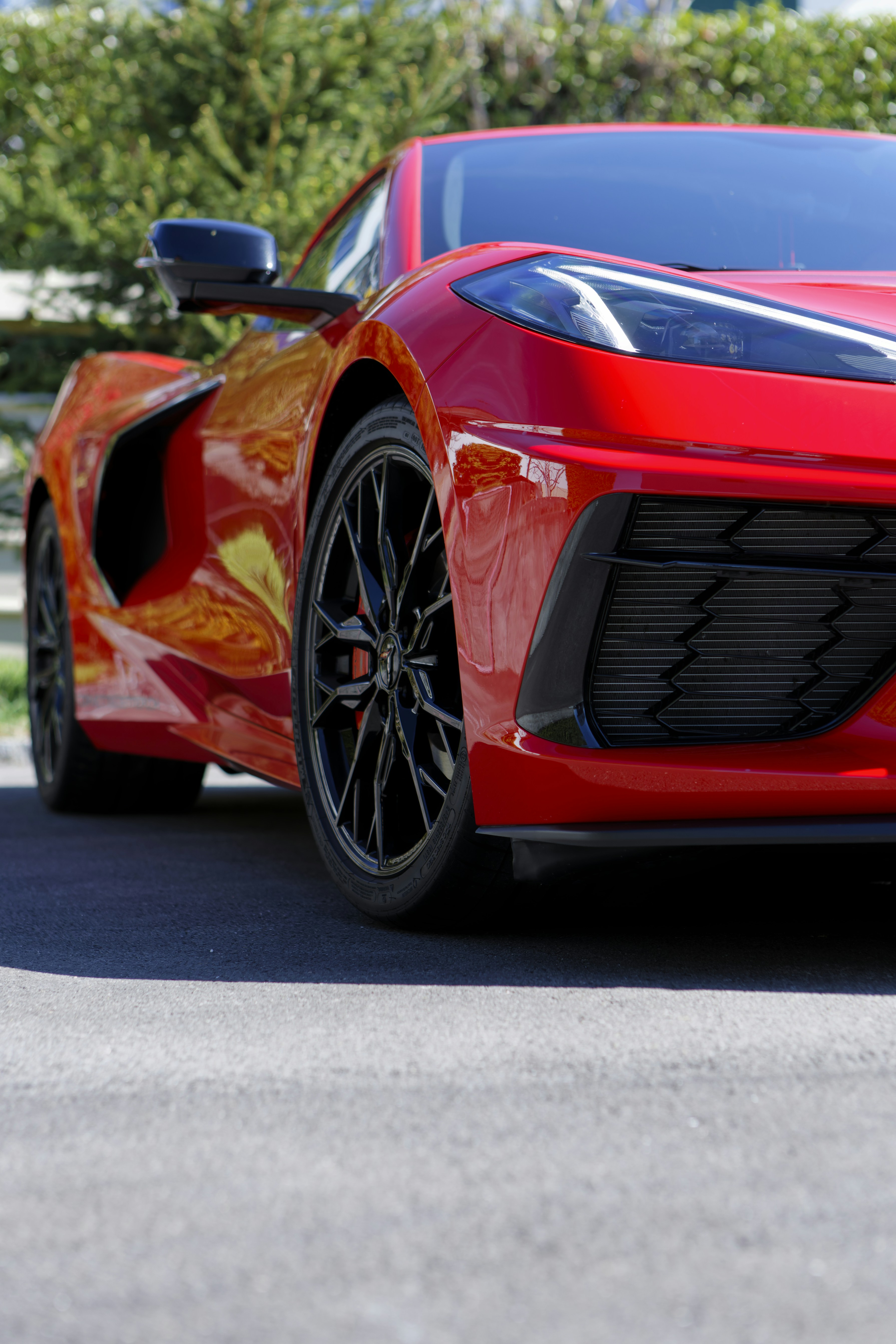 Roter Sportwagen auf Asphalt mit grünem Laub-Hintergrund geparkt