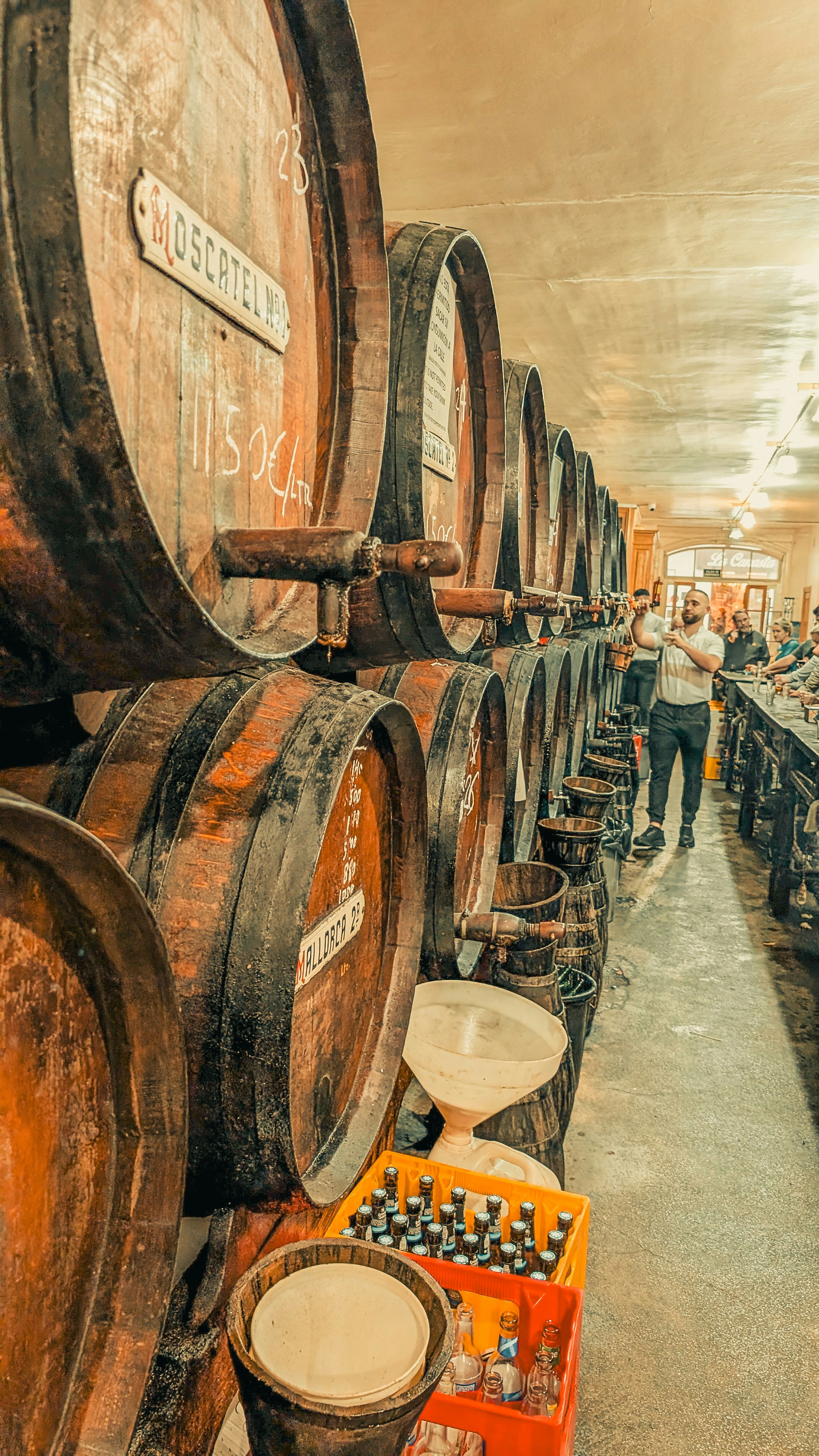 Row of wooden wine barrels in a cellar