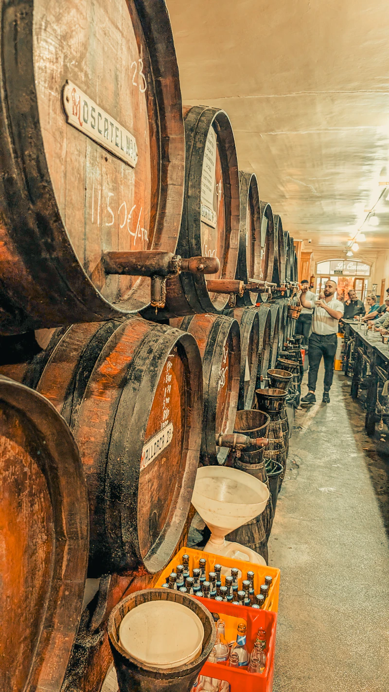 Ken Wright Cellars — Willamette Valley Oregon winery and tasting room