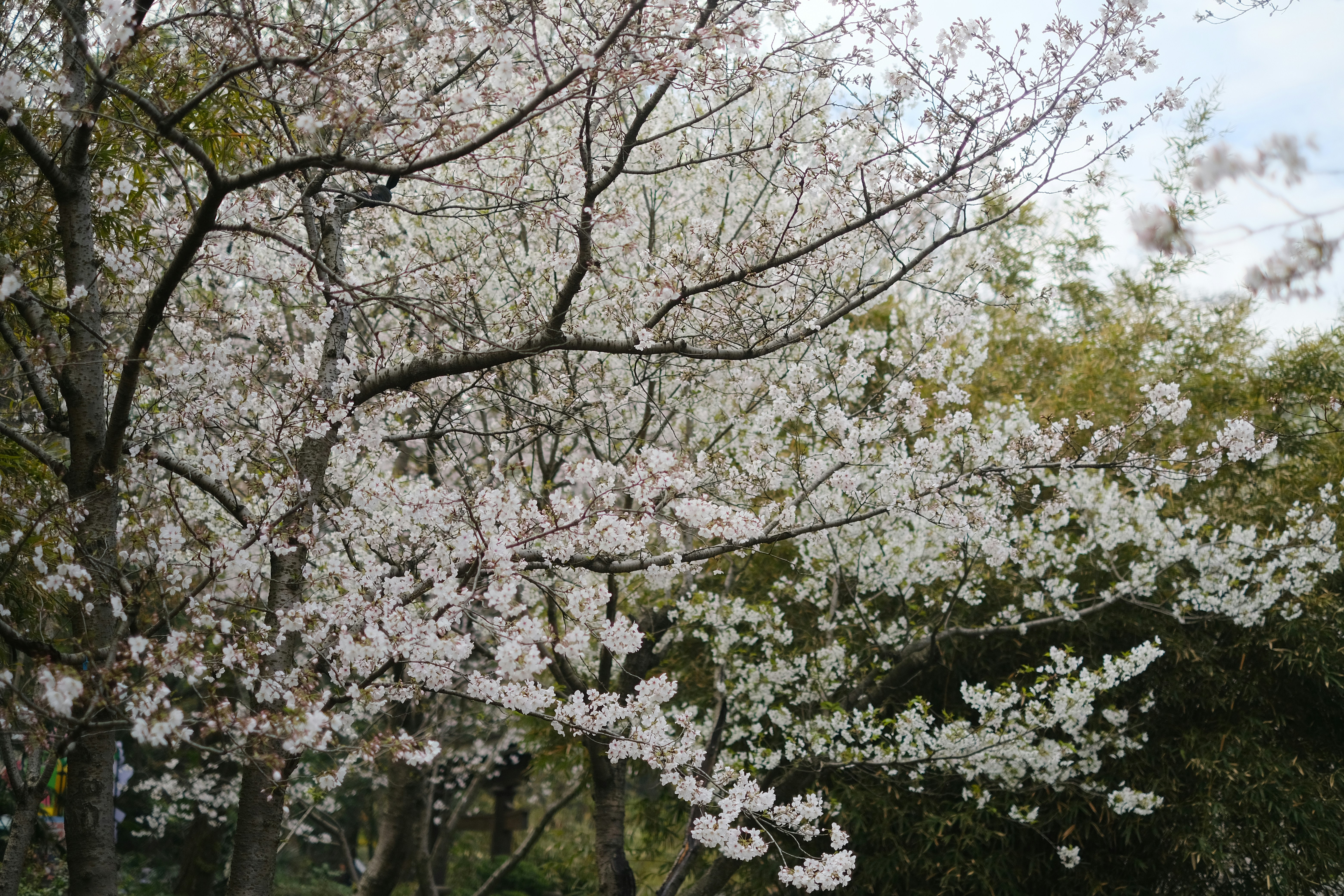 Photo by tnphanle