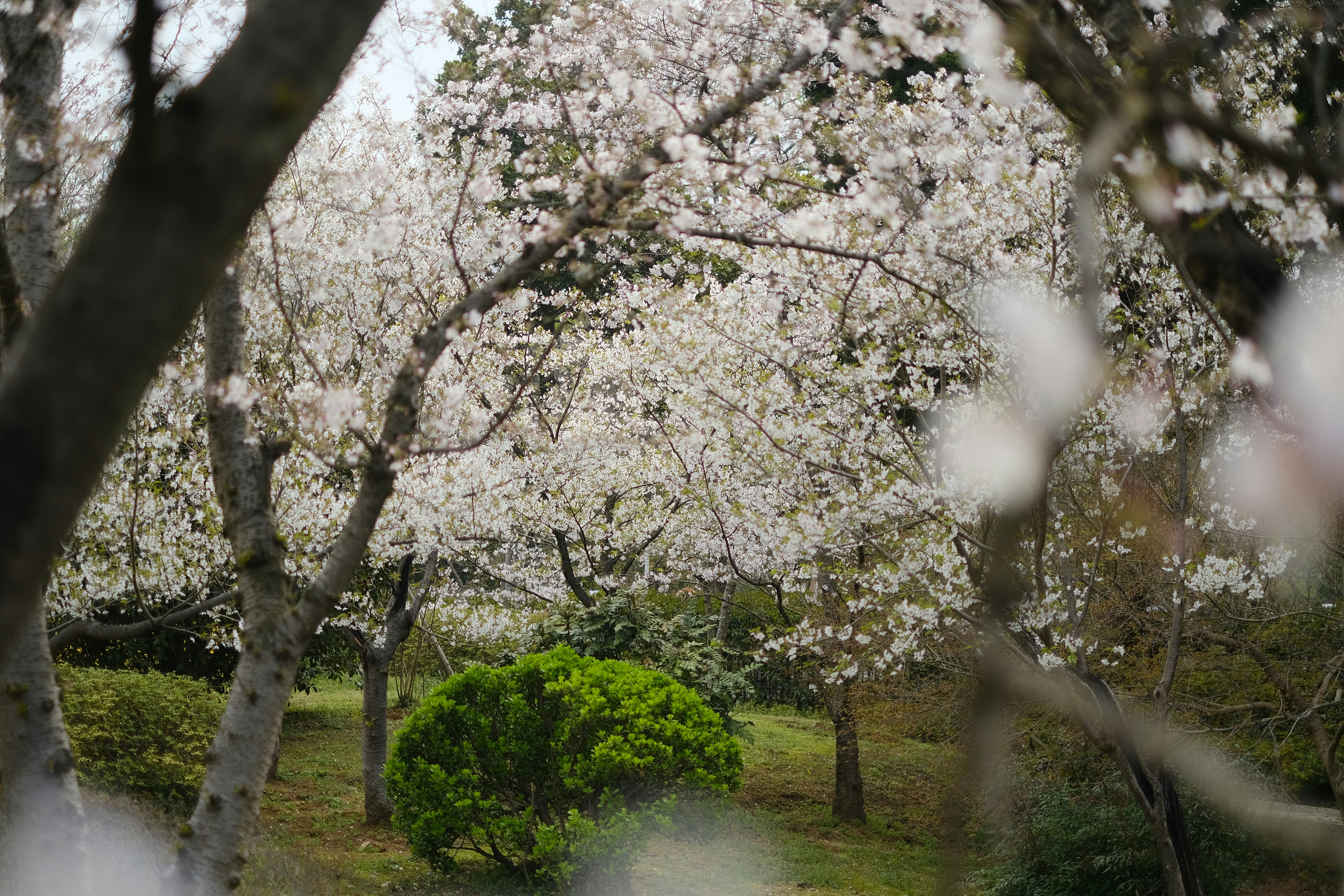 Photo by tnphanle