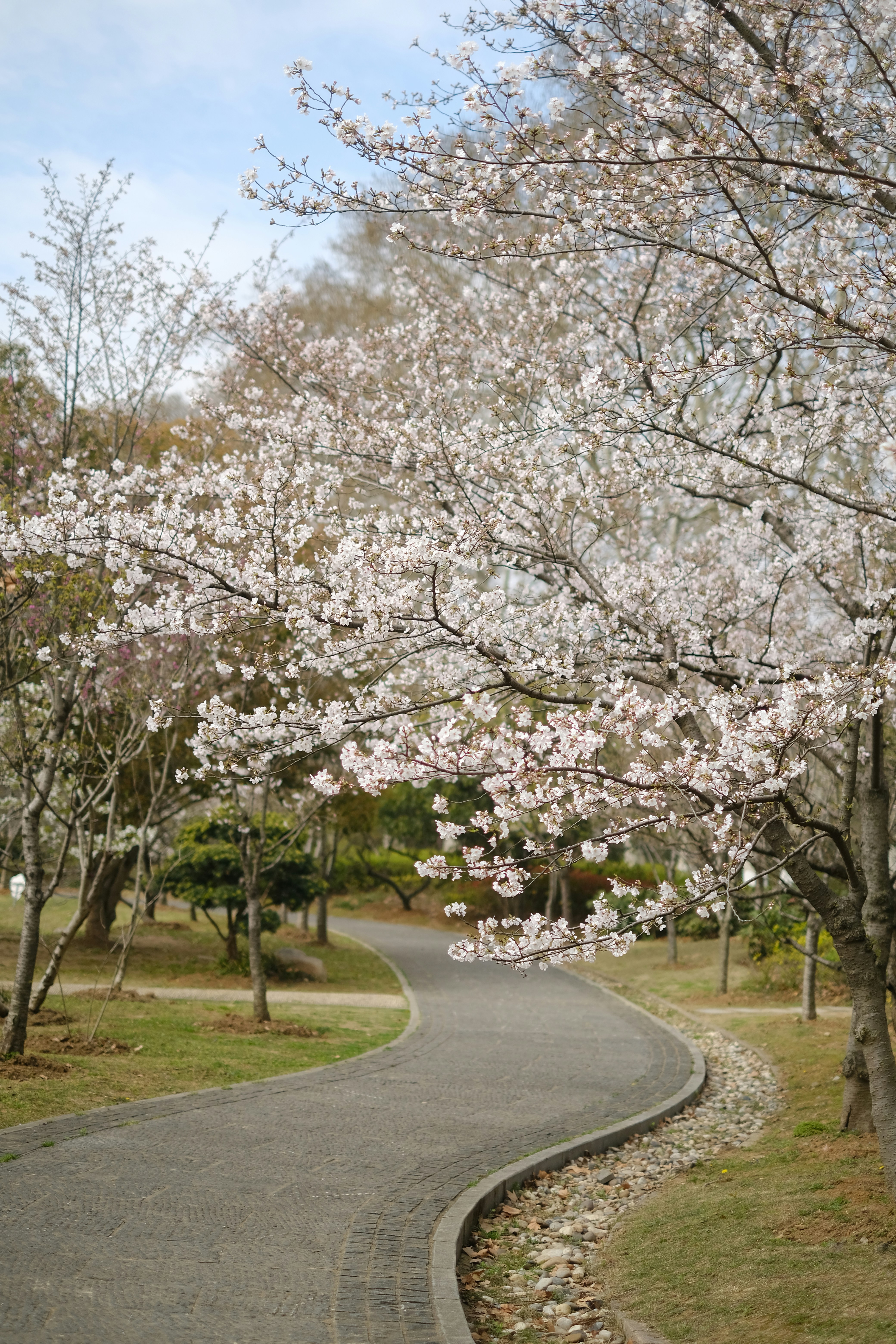 Photo by tnphanle