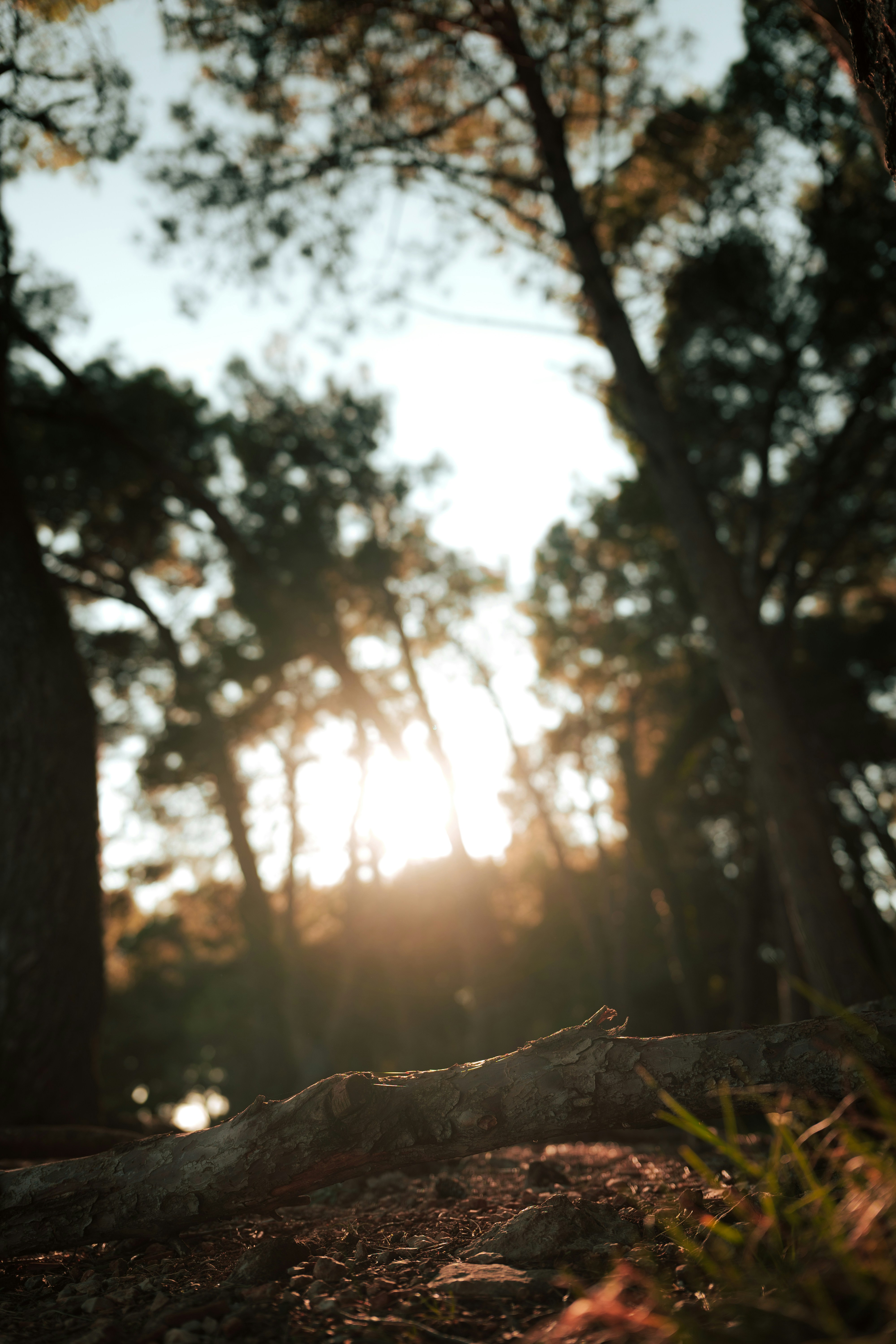 Photo by j0ke