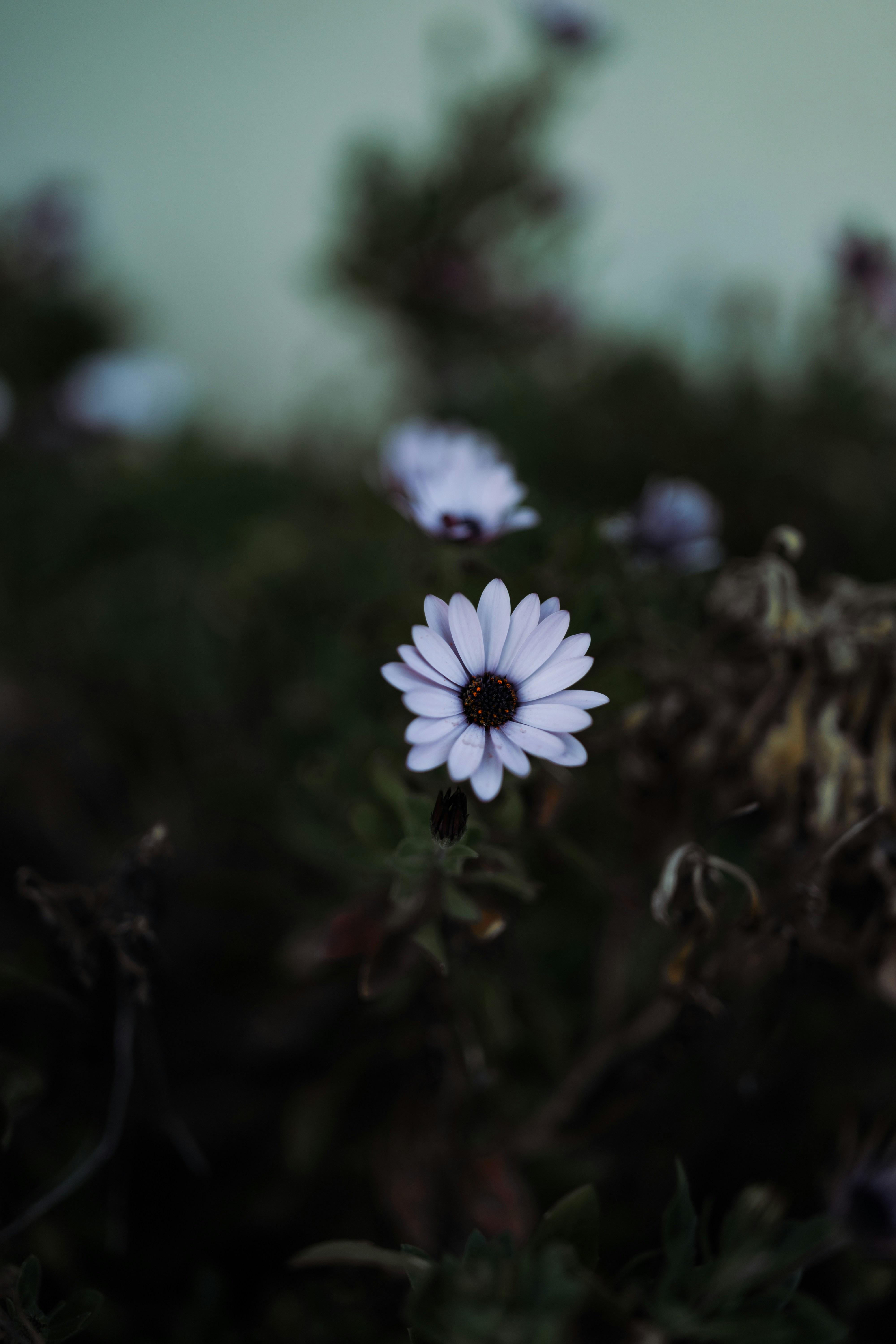 Photo by j0ke