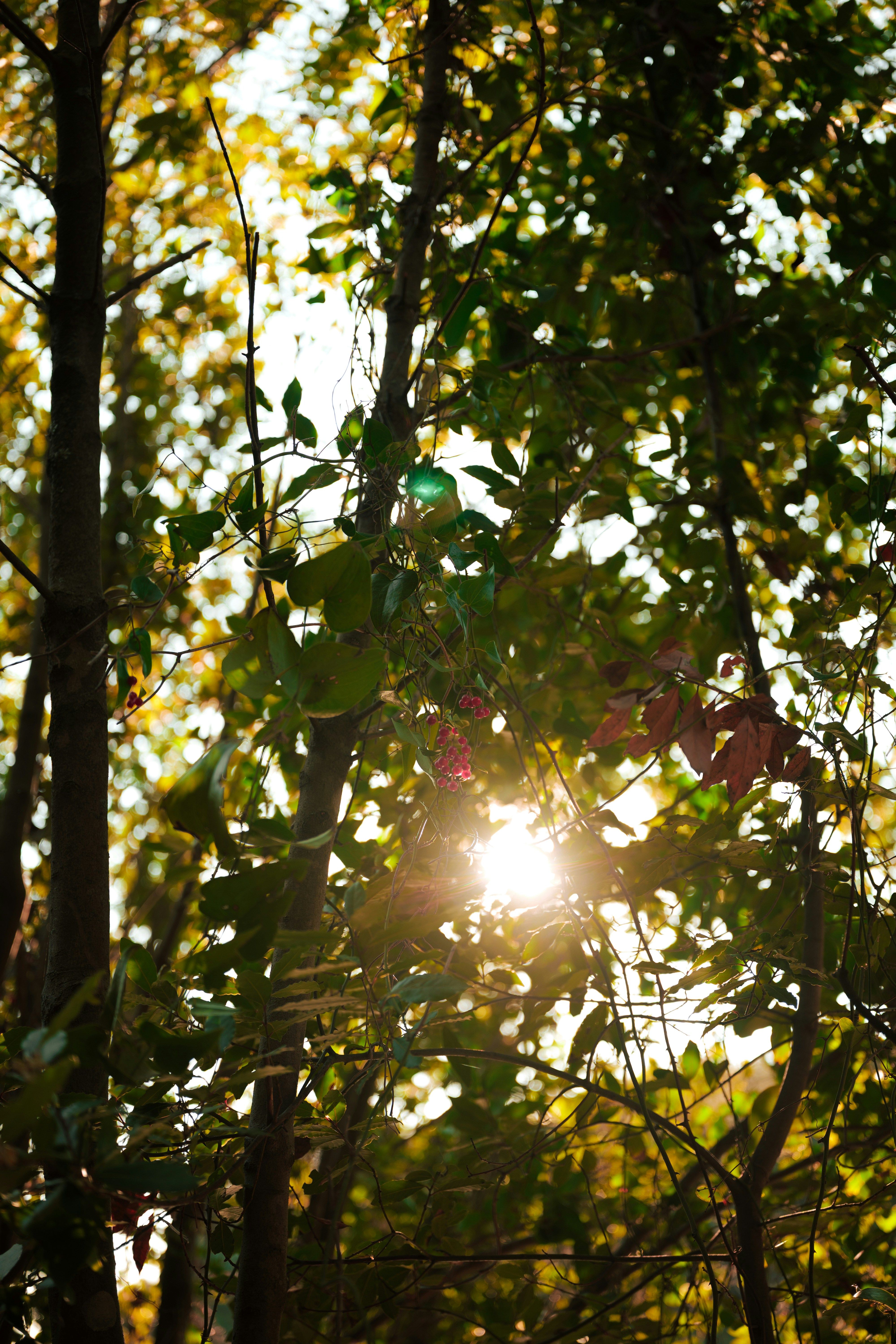 Photo by j0ke