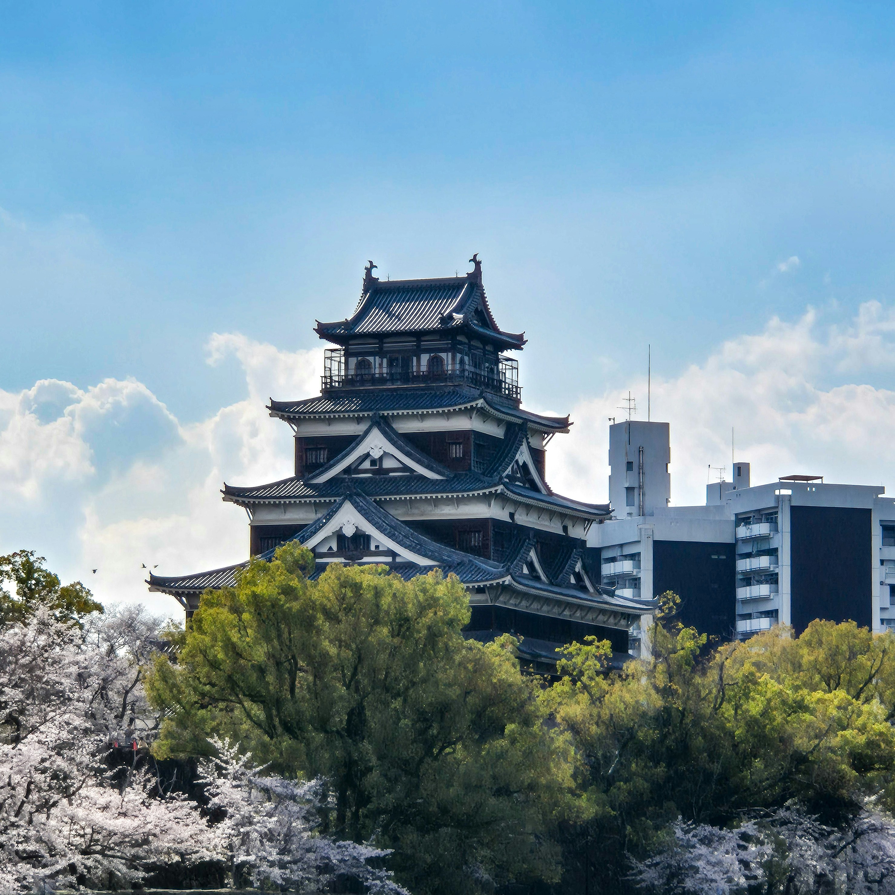 Traditional japanese castle surrounded by cherry blossoms