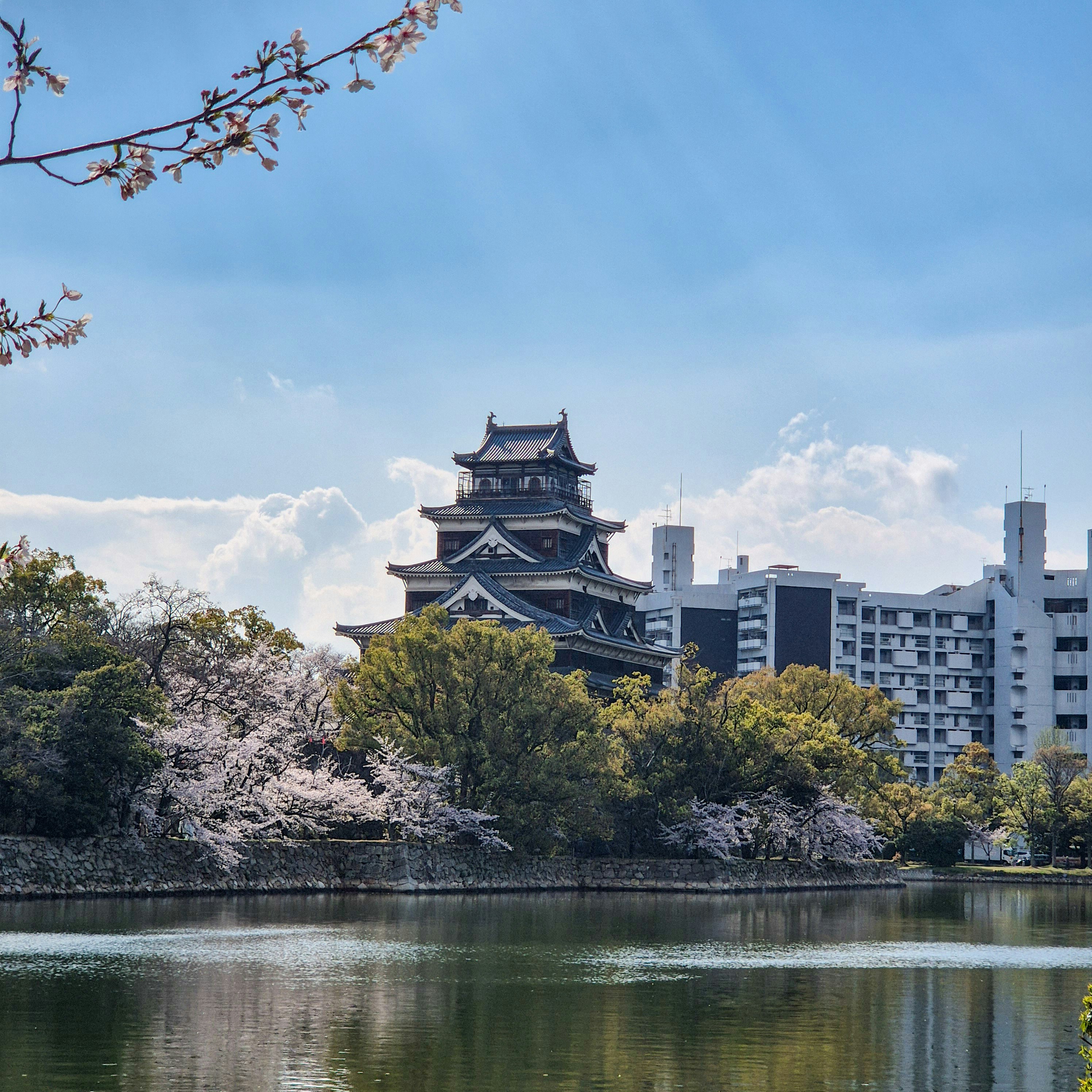 A japanese castle surrounded by cherry blossoms and trees.