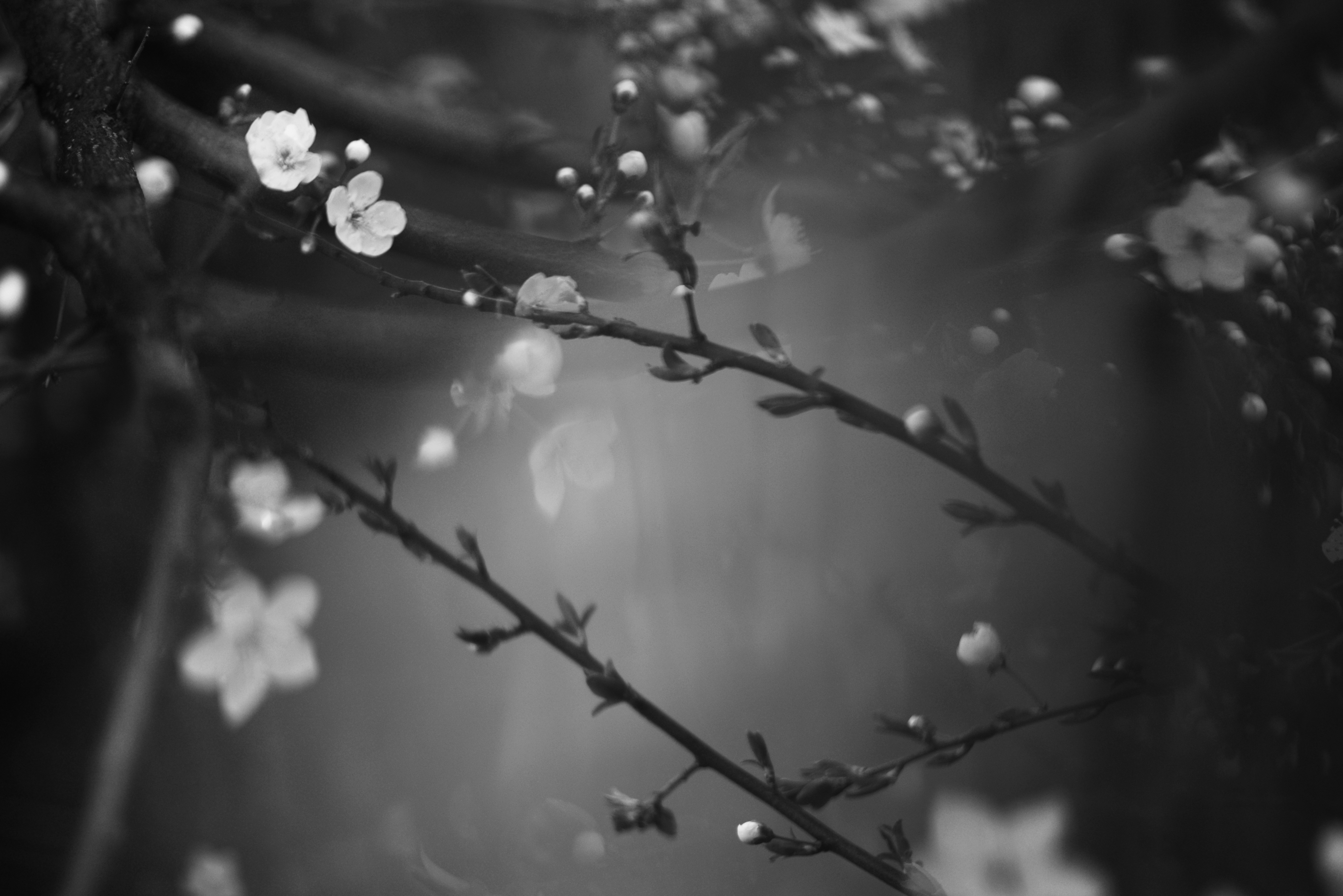 Your Ultimate Overview to Finding a Trusted Registered Agent in Washington