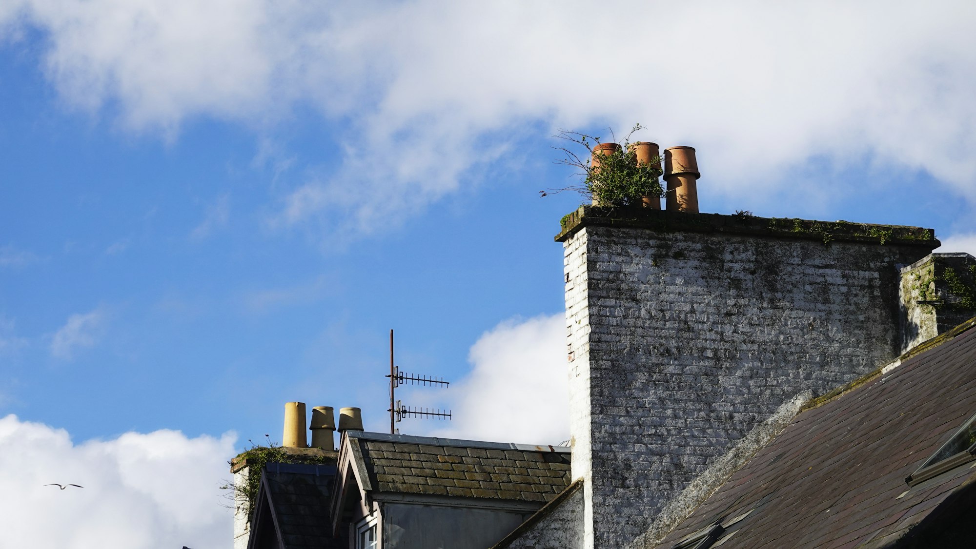 Chimney Repairs & Repointing work example 2