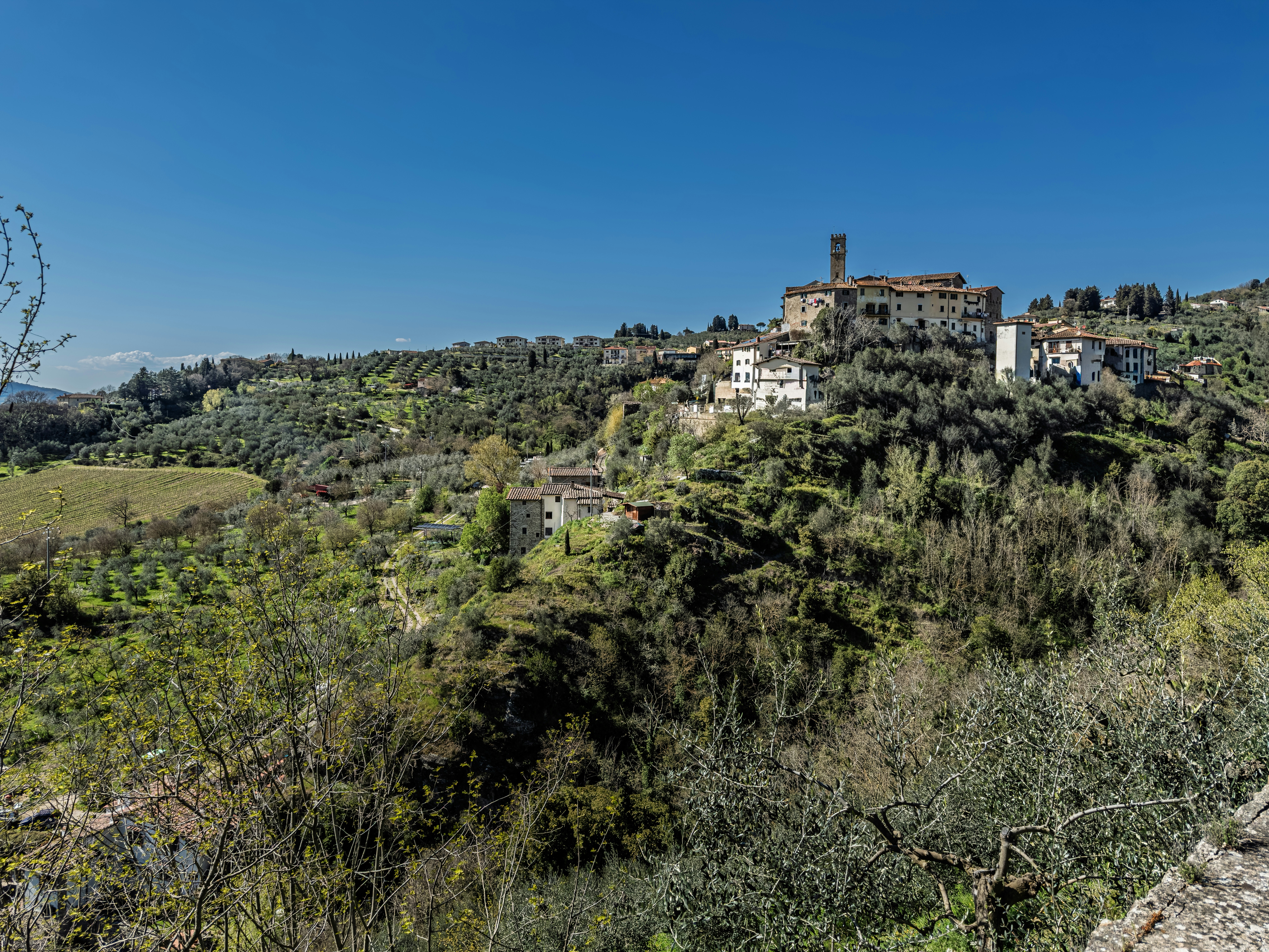 Hillside village with olive trees under a clear blue sky