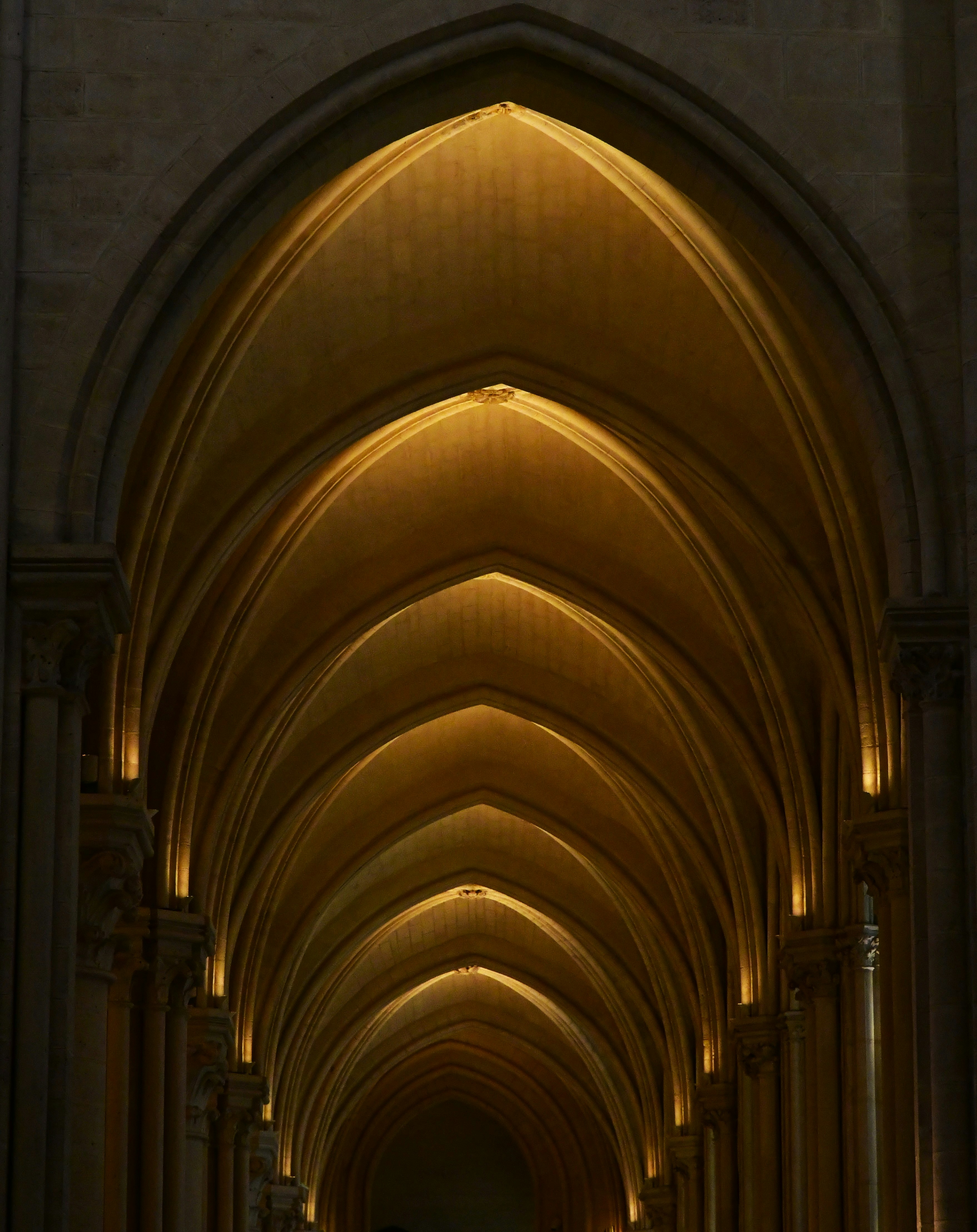 Ornate arched ceiling illuminated with warm light