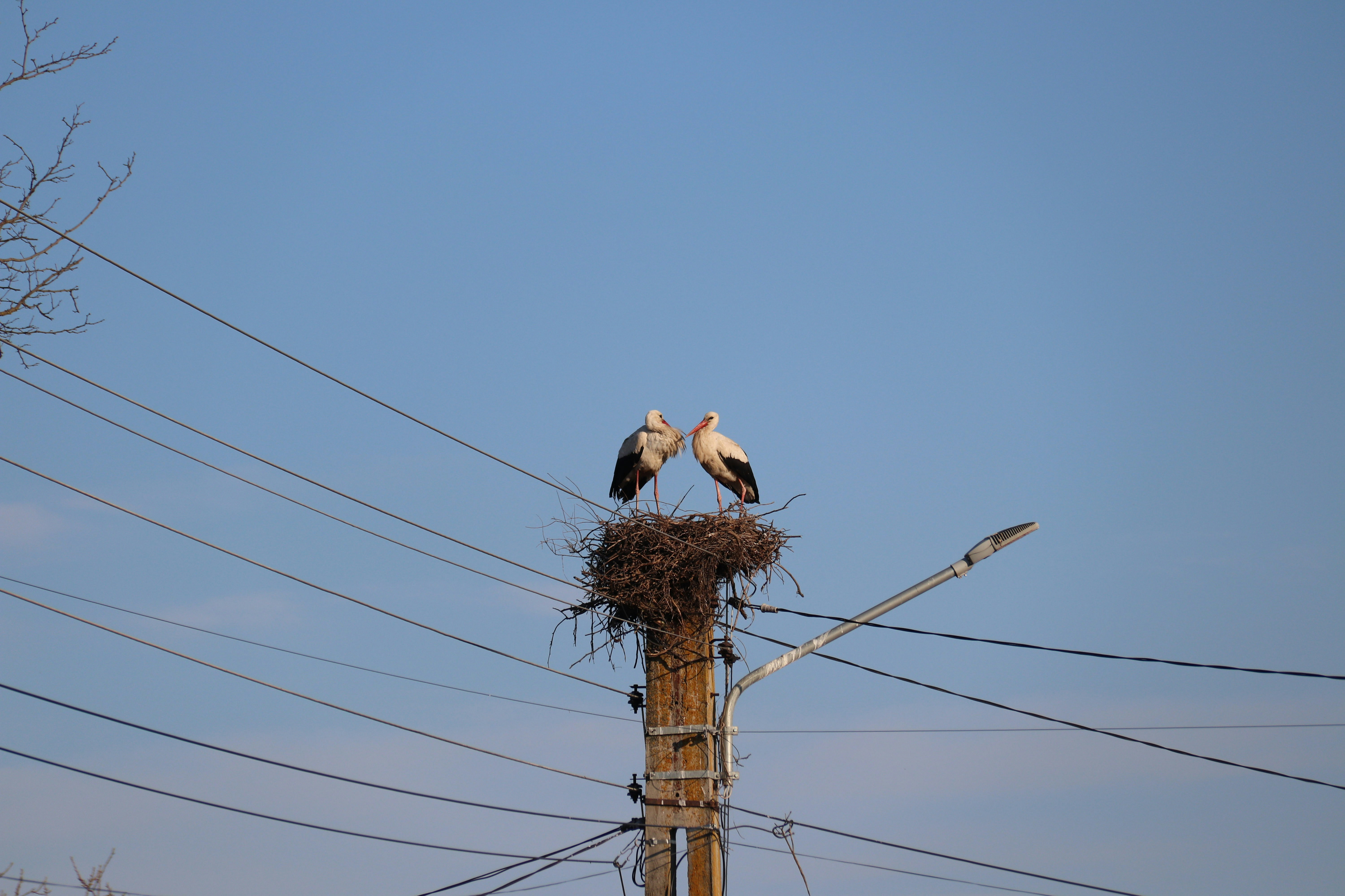 Photo by fotografialuivlad