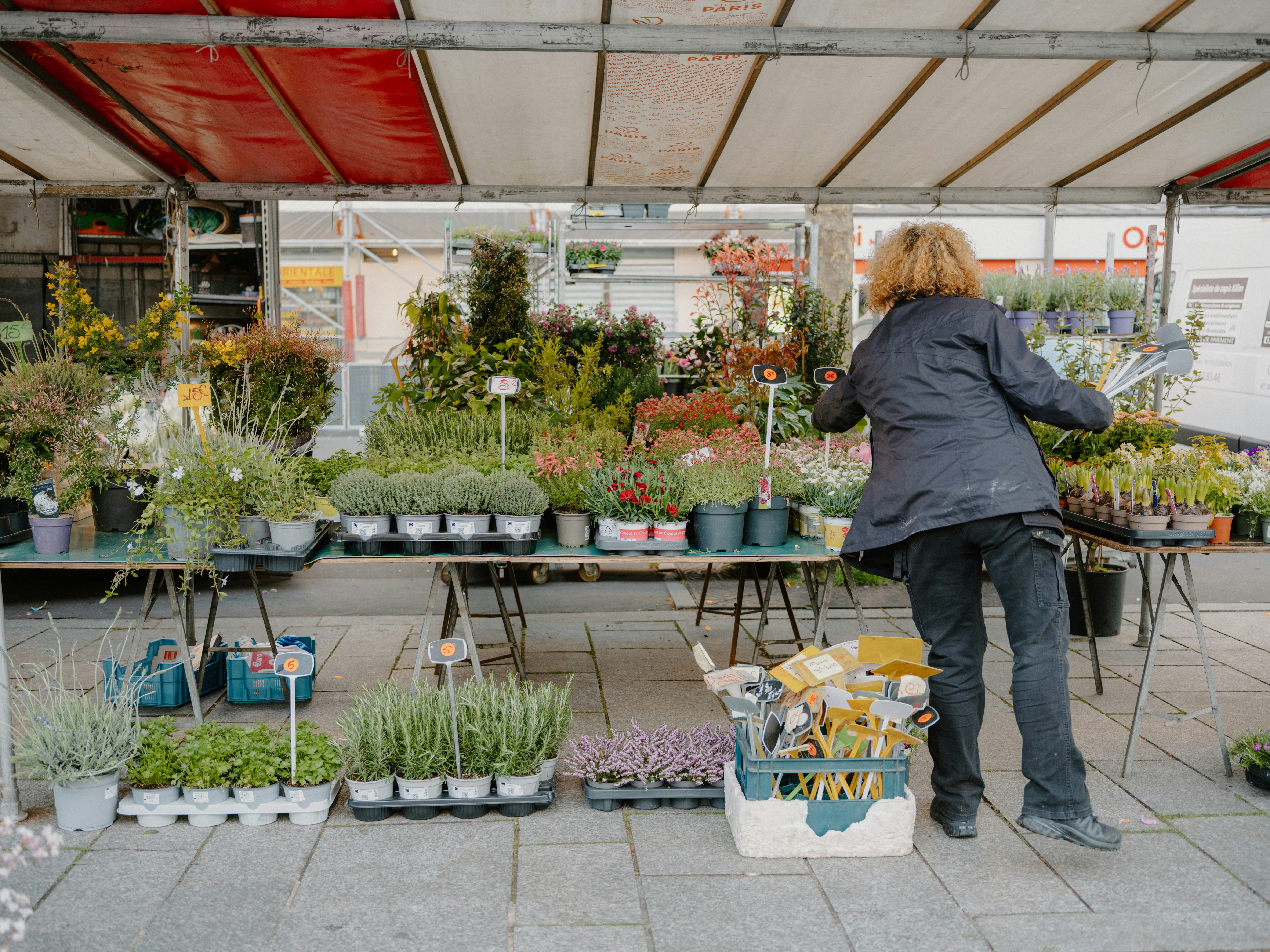 Blumen- und Gemüsepflanzenverkauf in der Nachbaranlage 24.4.-25.4.2026