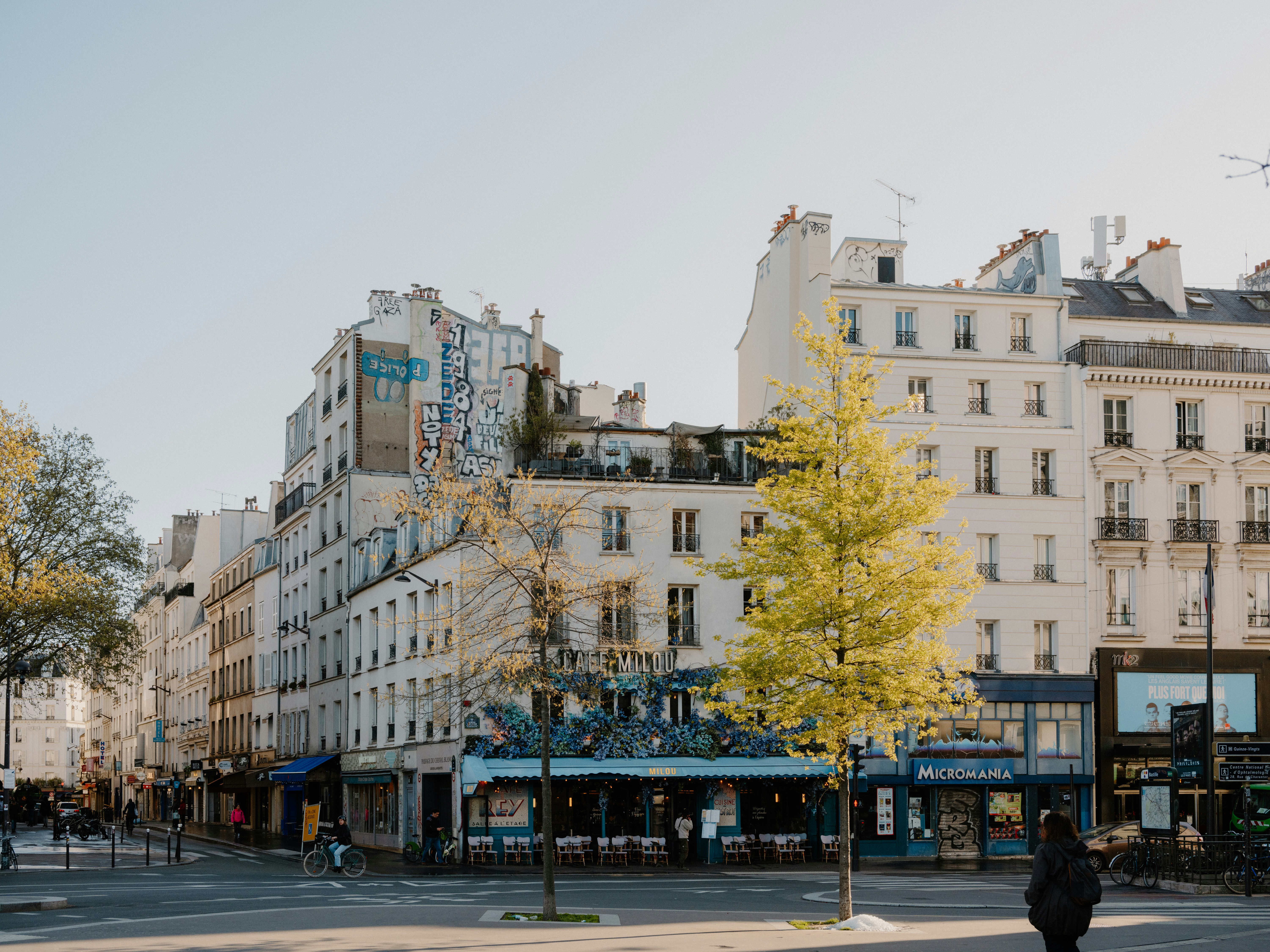 Buildings and trees on a street in paris
