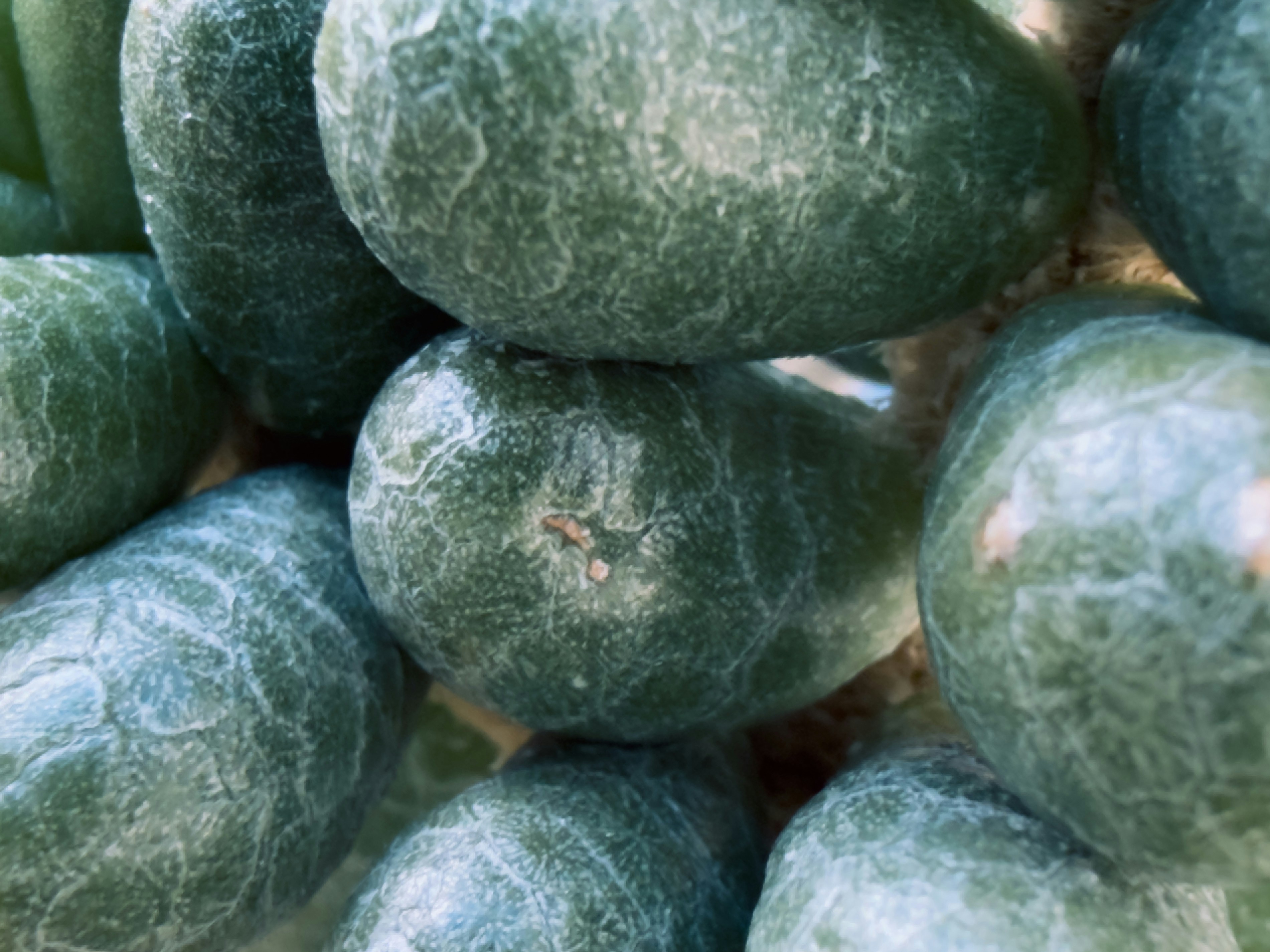 滑らかで質感のある緑色の石のクローズアップ