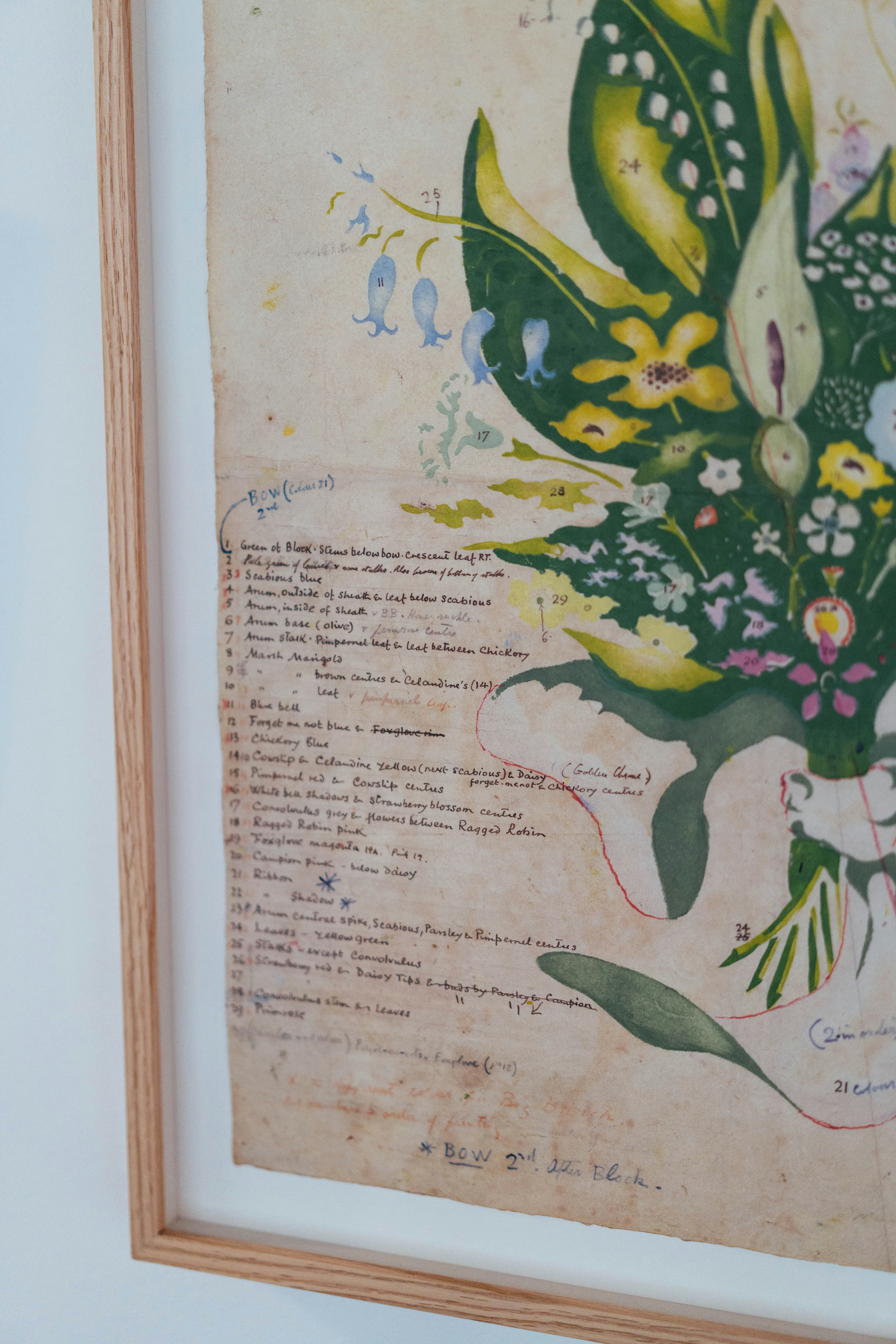 手書きの注釈付き額入り植物図