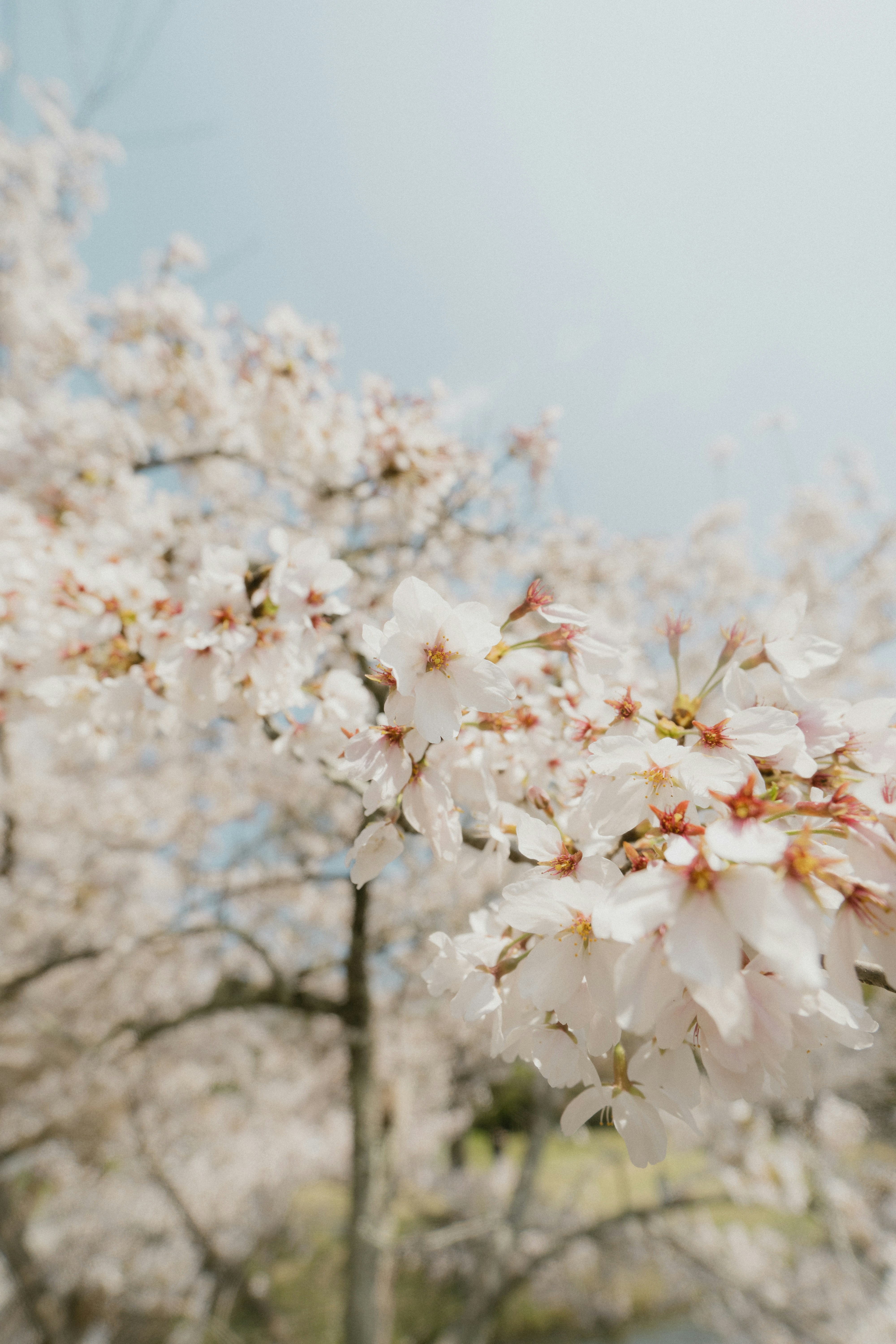 Photo by srtgraphy
