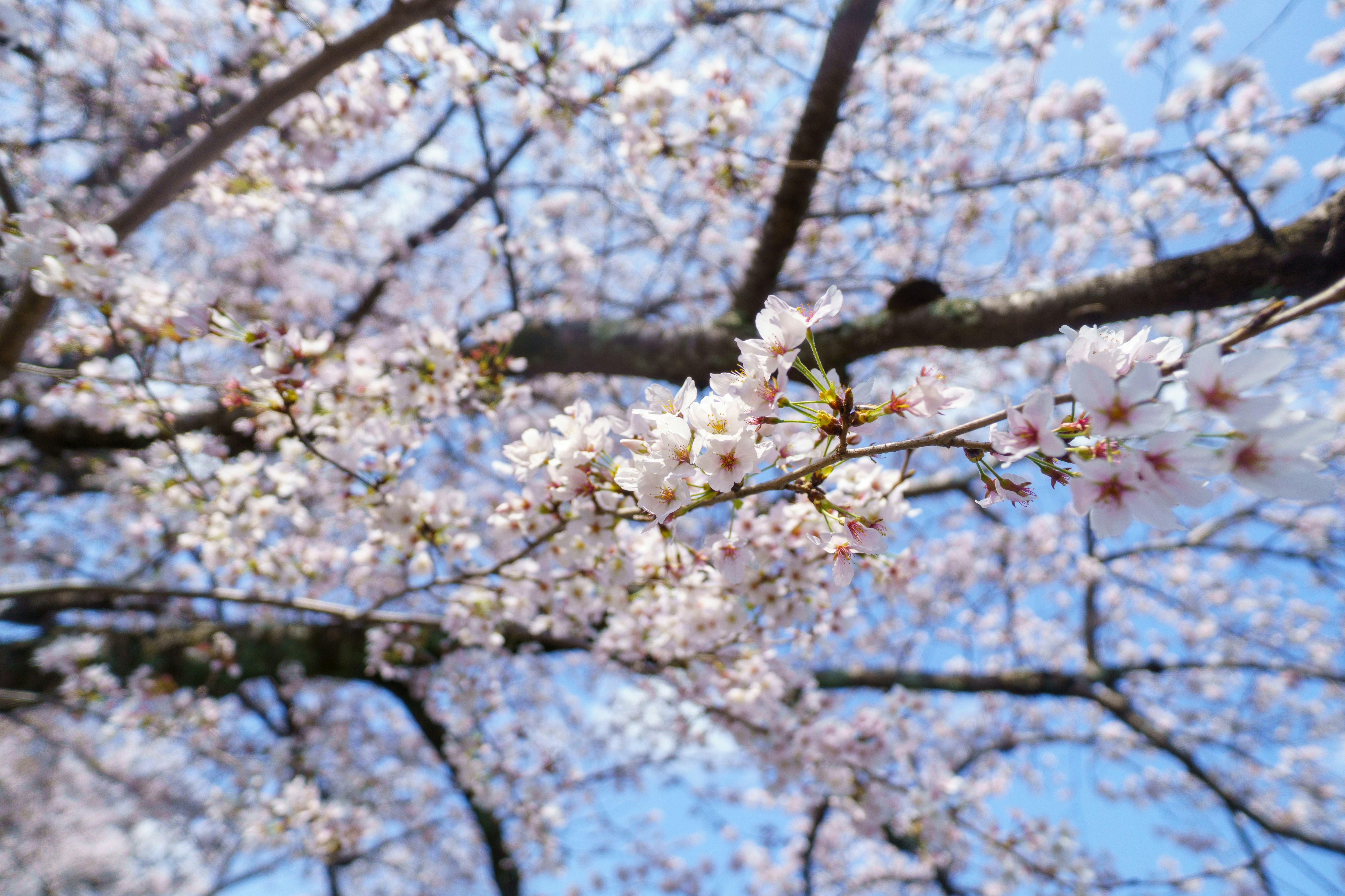 Photo by srtgraphy