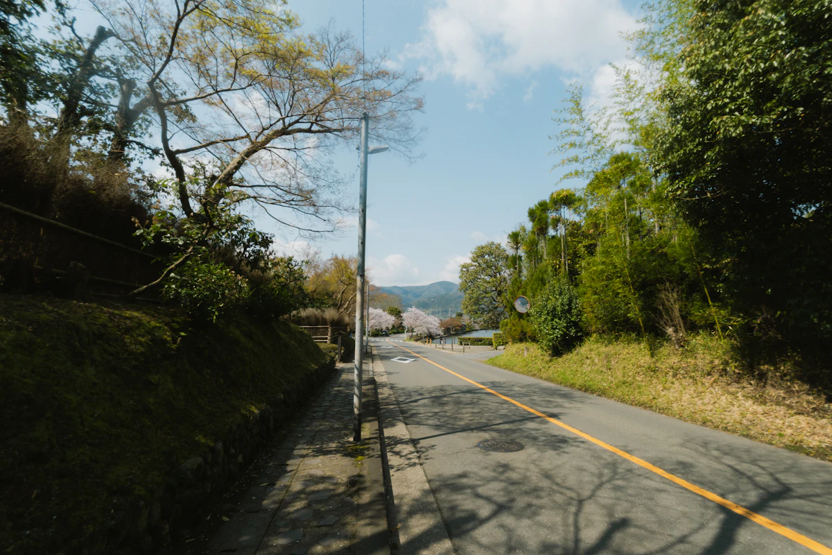 田園を抜ける一本の道