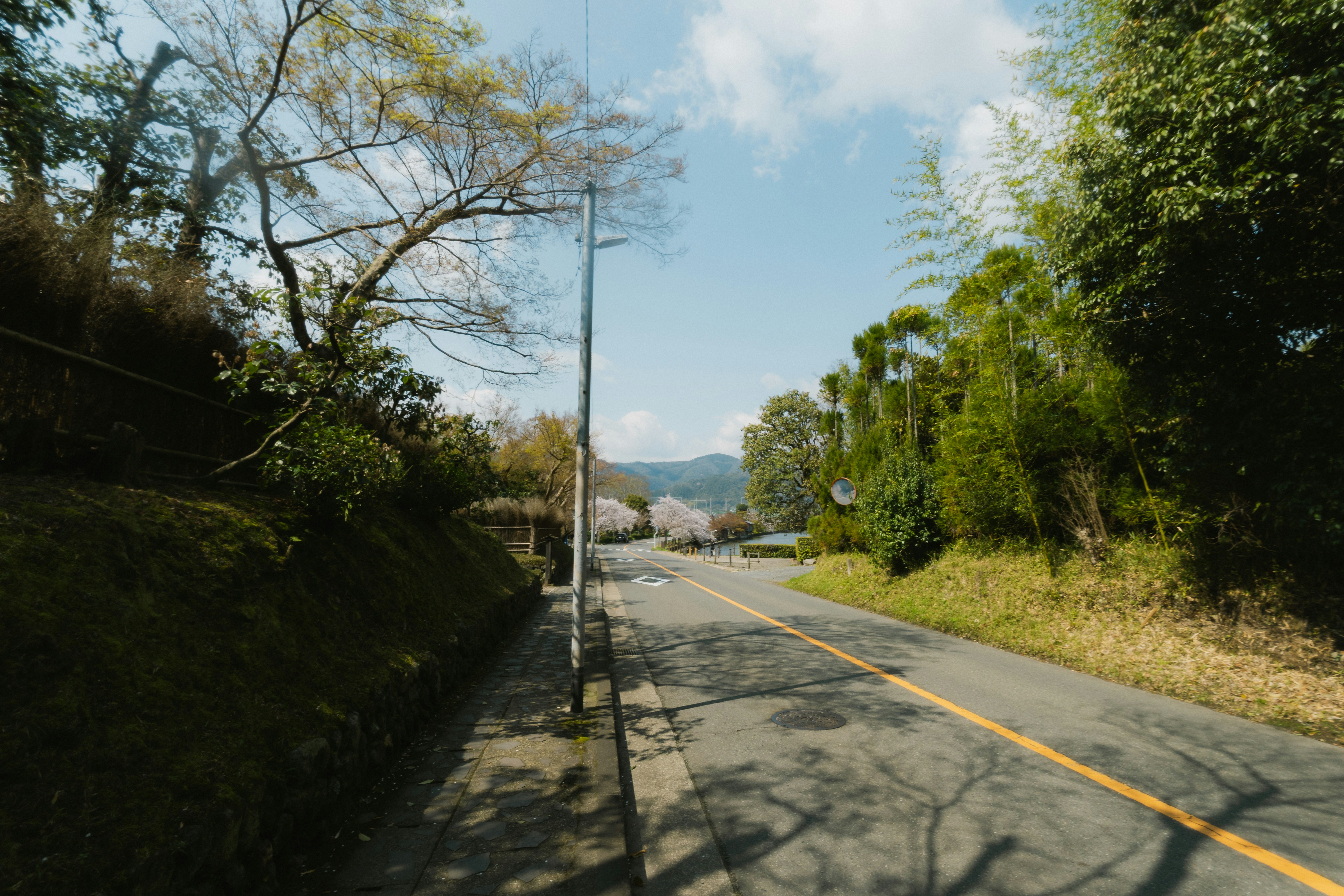Holding the Moment: The Fragile Temporality of Japanese Cinematic Time